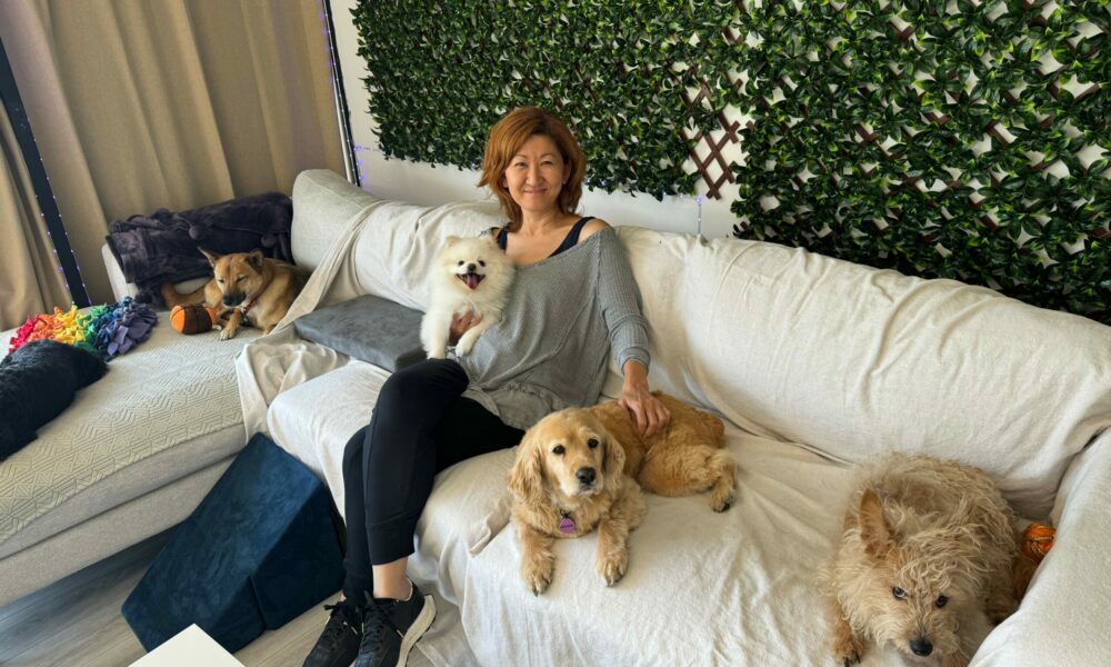 Meet Yuki Wakano of Royal Pet Grooming & Daycare – Voyage LA