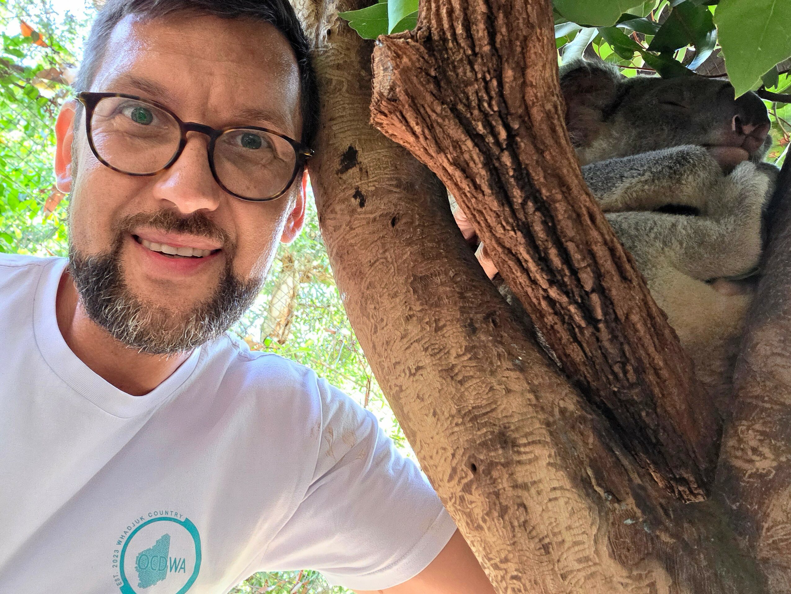 Man with glasses and beard smiling outdoors next to a tree with a lion resting on a branch.