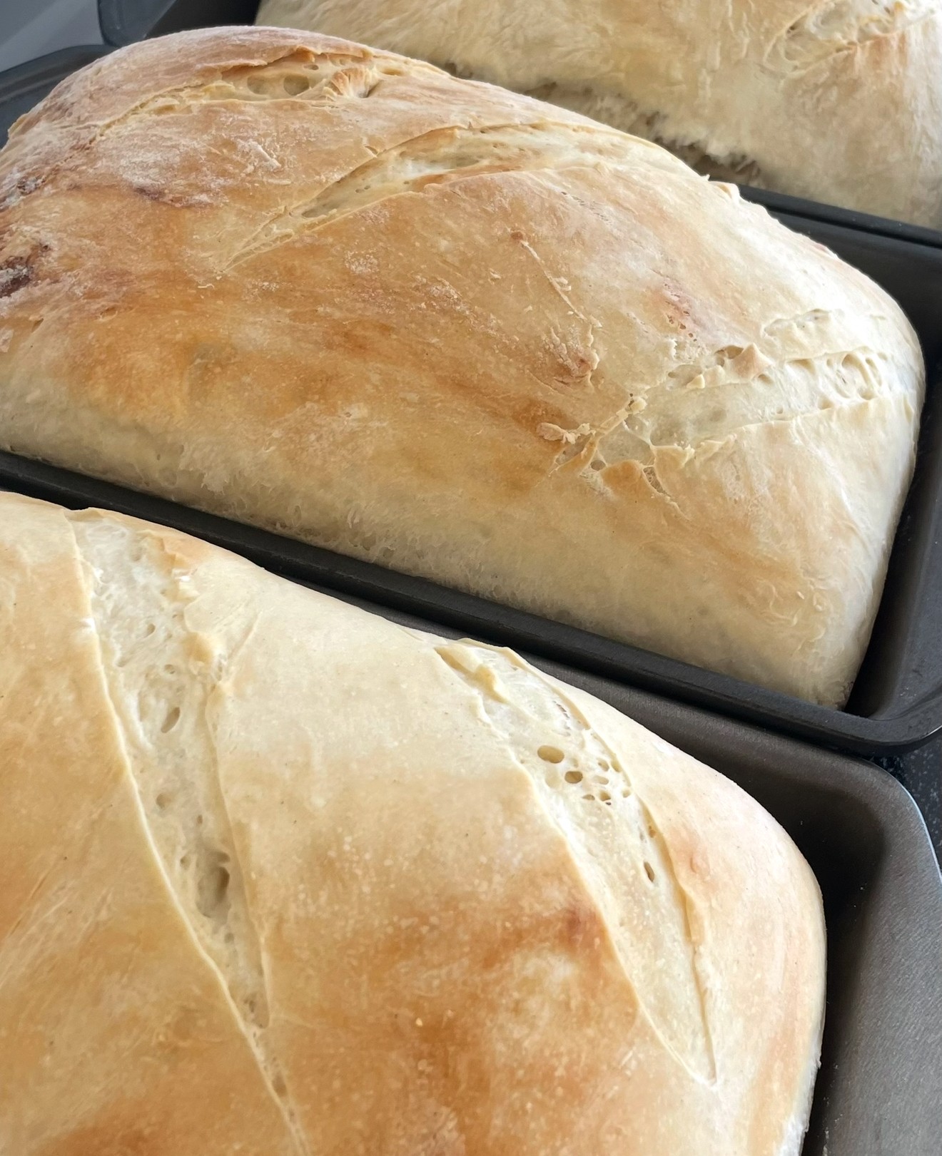 Three loaves of freshly baked bread in black baking pans, golden-brown crusts, and smooth surfaces.