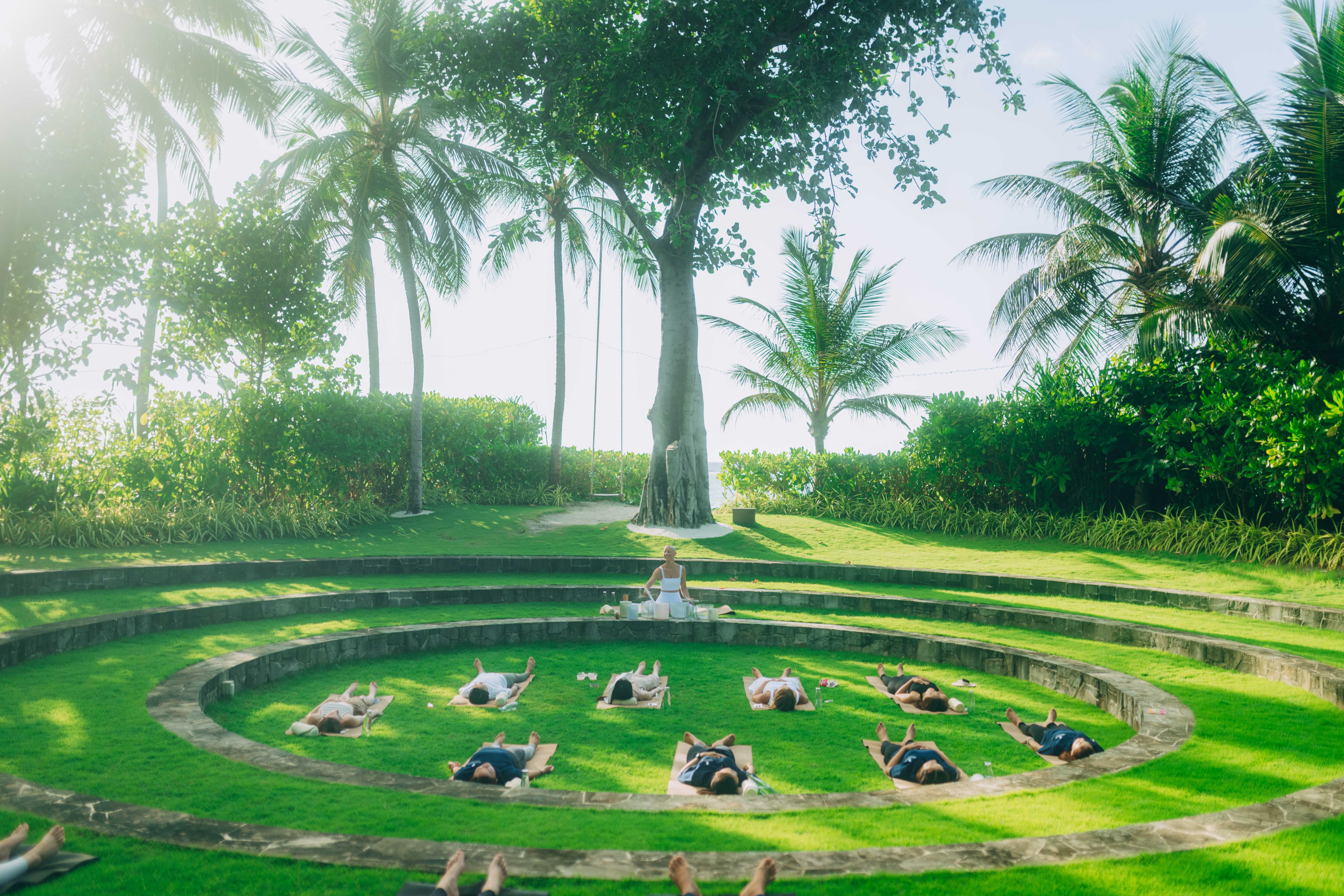 People lying on grass in a circular pattern outdoors with palm trees and sunlight in the background.