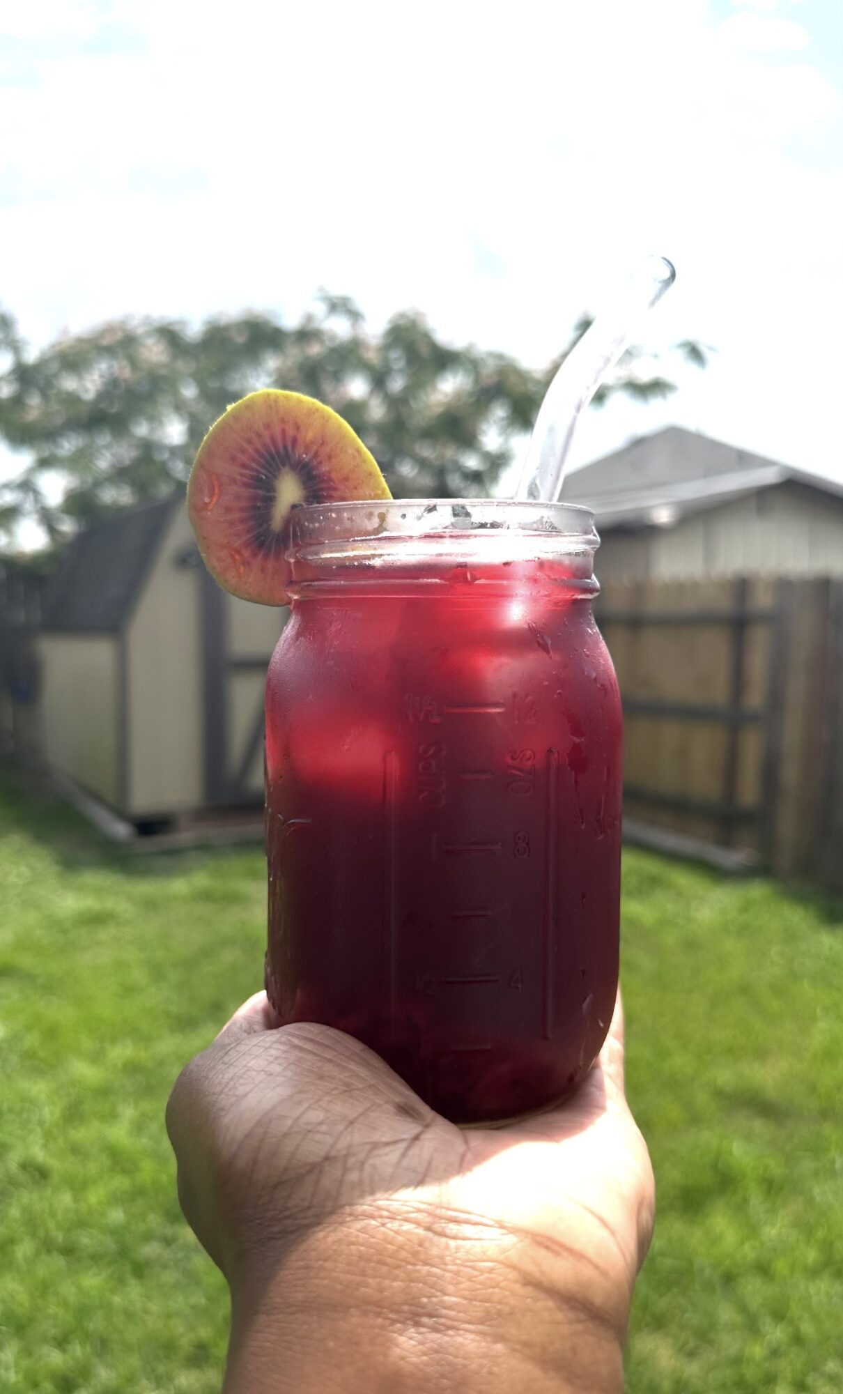 Hand holding a glass jar with red beverage, garnished with a peach slice, outdoors with trees and a fence in background