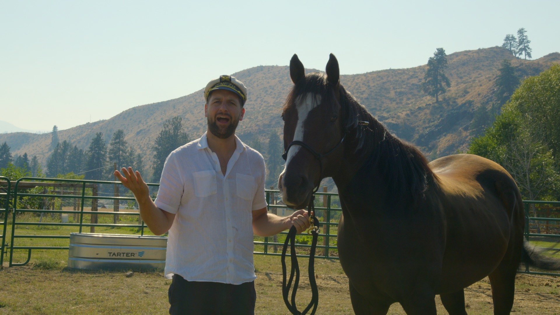 Person standing next to a black horse outdoors with hills and trees in background.