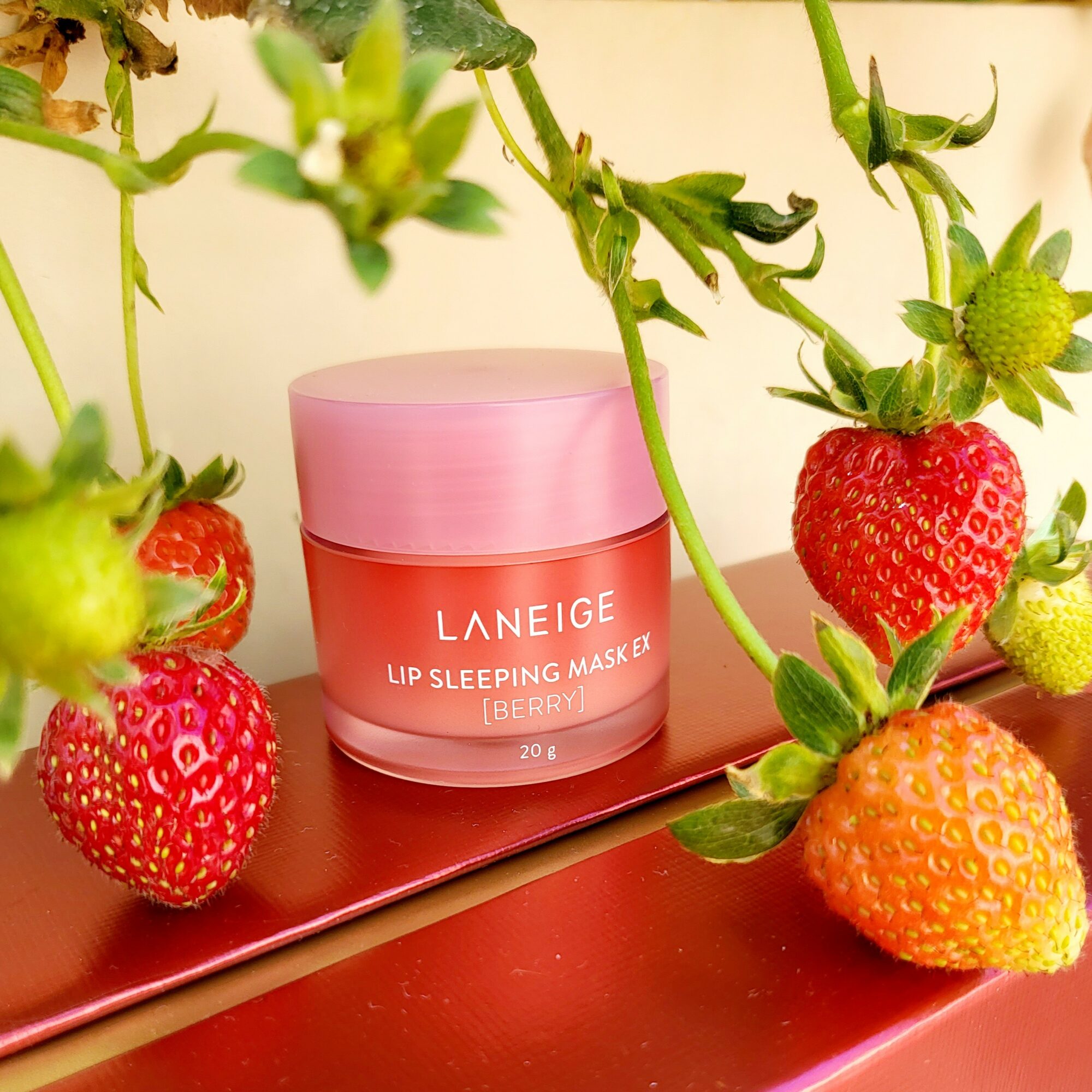 Pink jar of Laneige Lip Sleeping Mask surrounded by strawberries and green plant stems.
