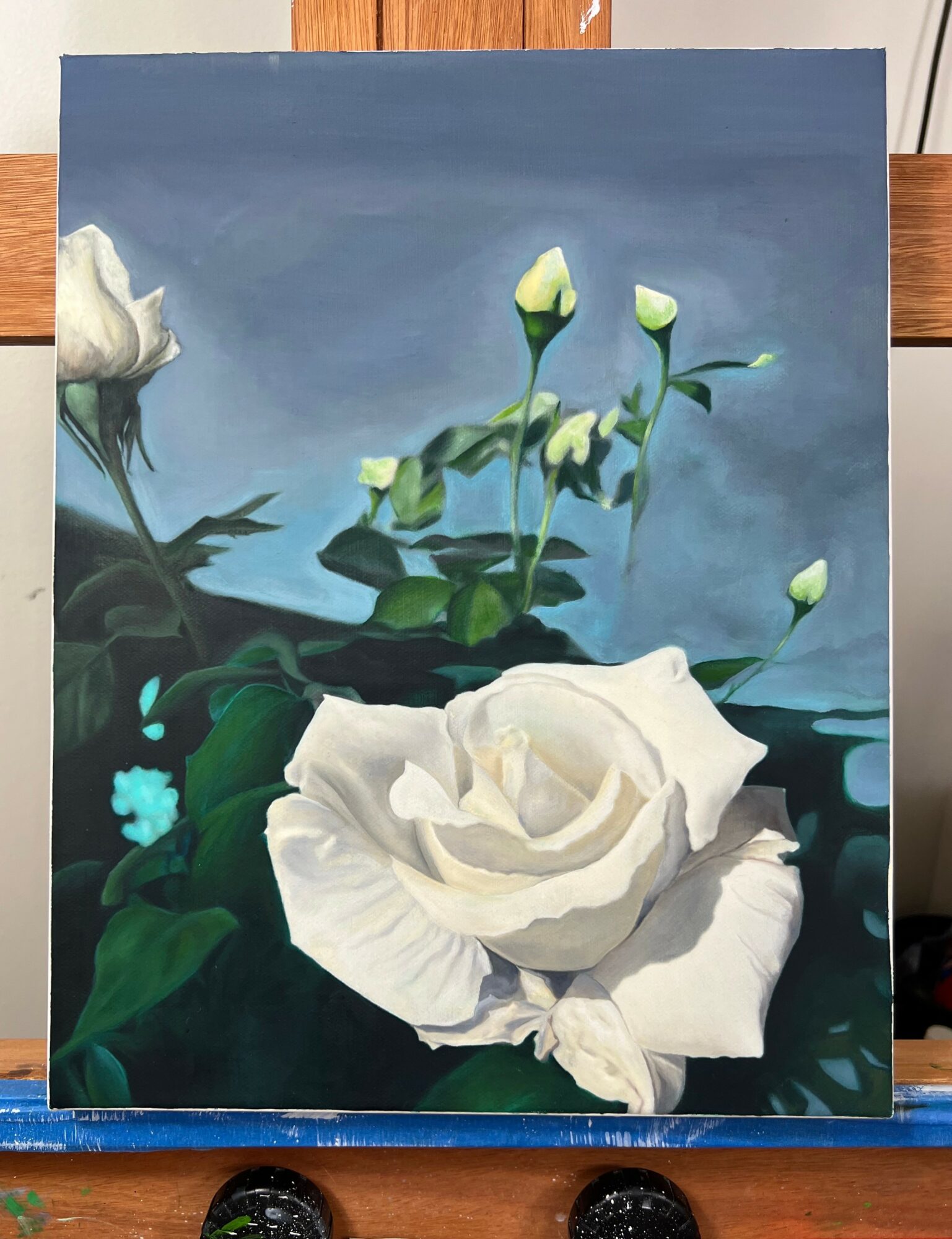 White roses with green stems and leaves against a blue background, some buds are closed, and one large open rose in foreground.
