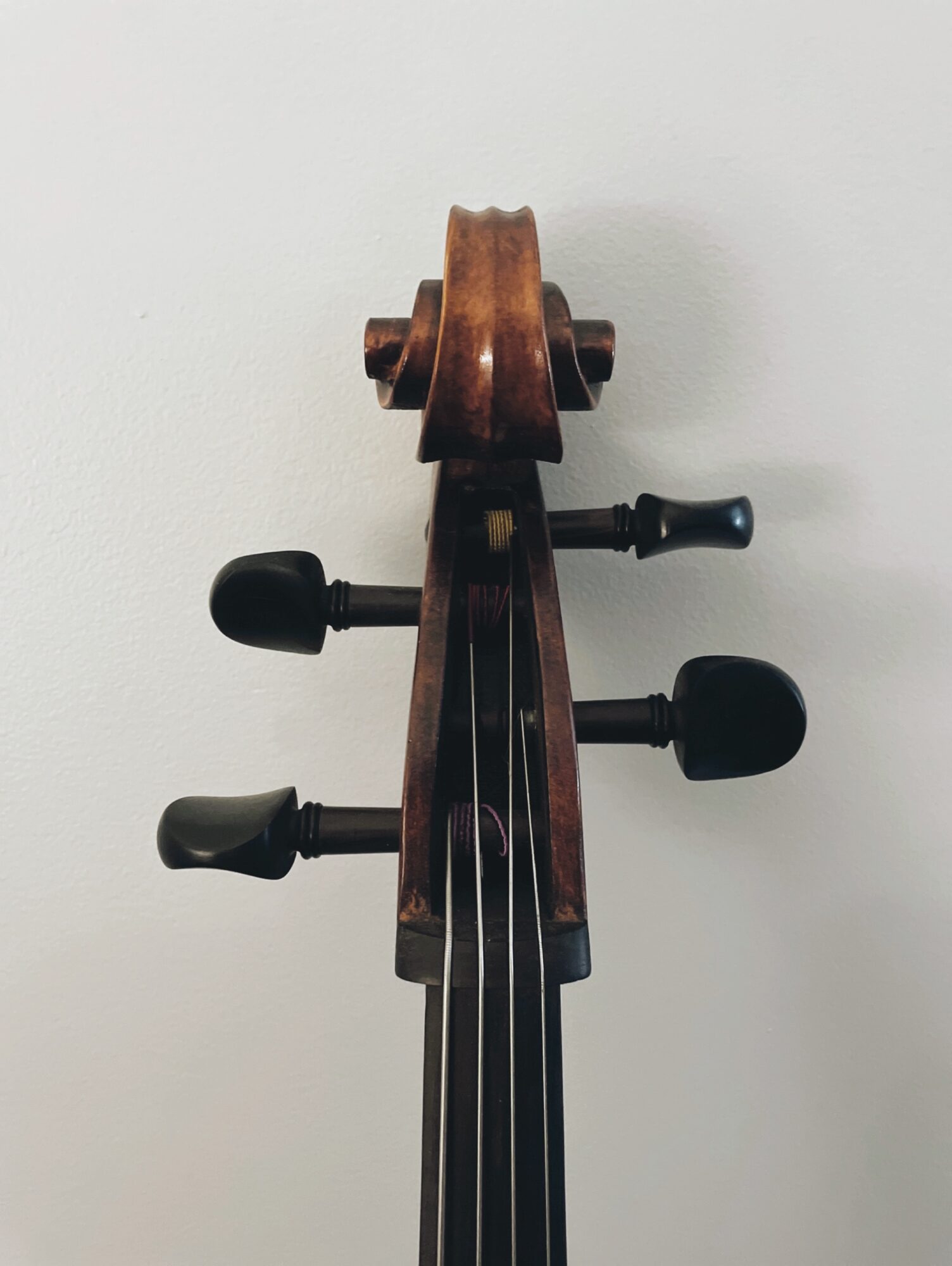 Top view of a wooden violin scroll and tuning pegs against a plain background.