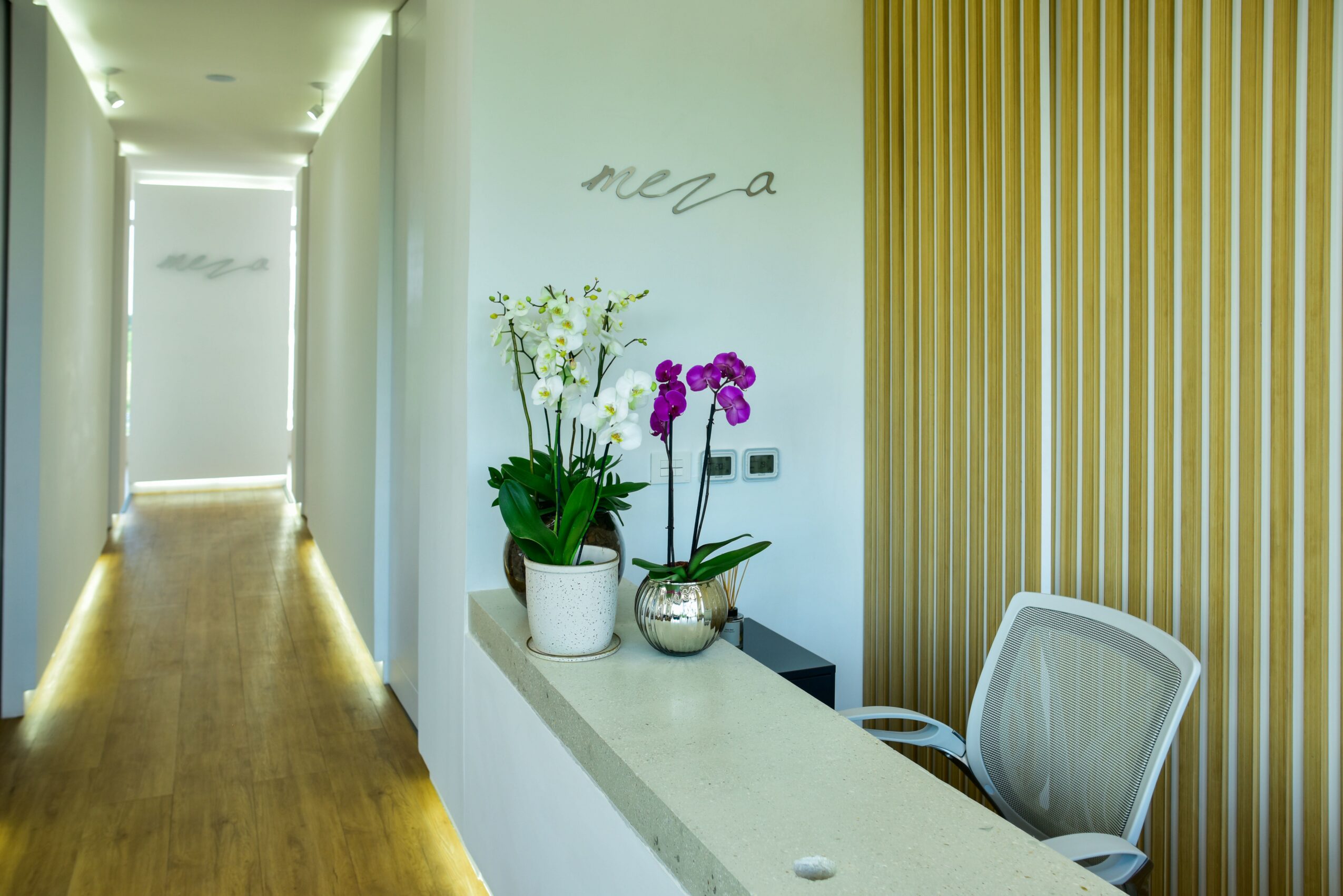 Interior of a modern office with a hallway, potted plants, a desk, and a chair, featuring wooden flooring and a yellow striped wall.