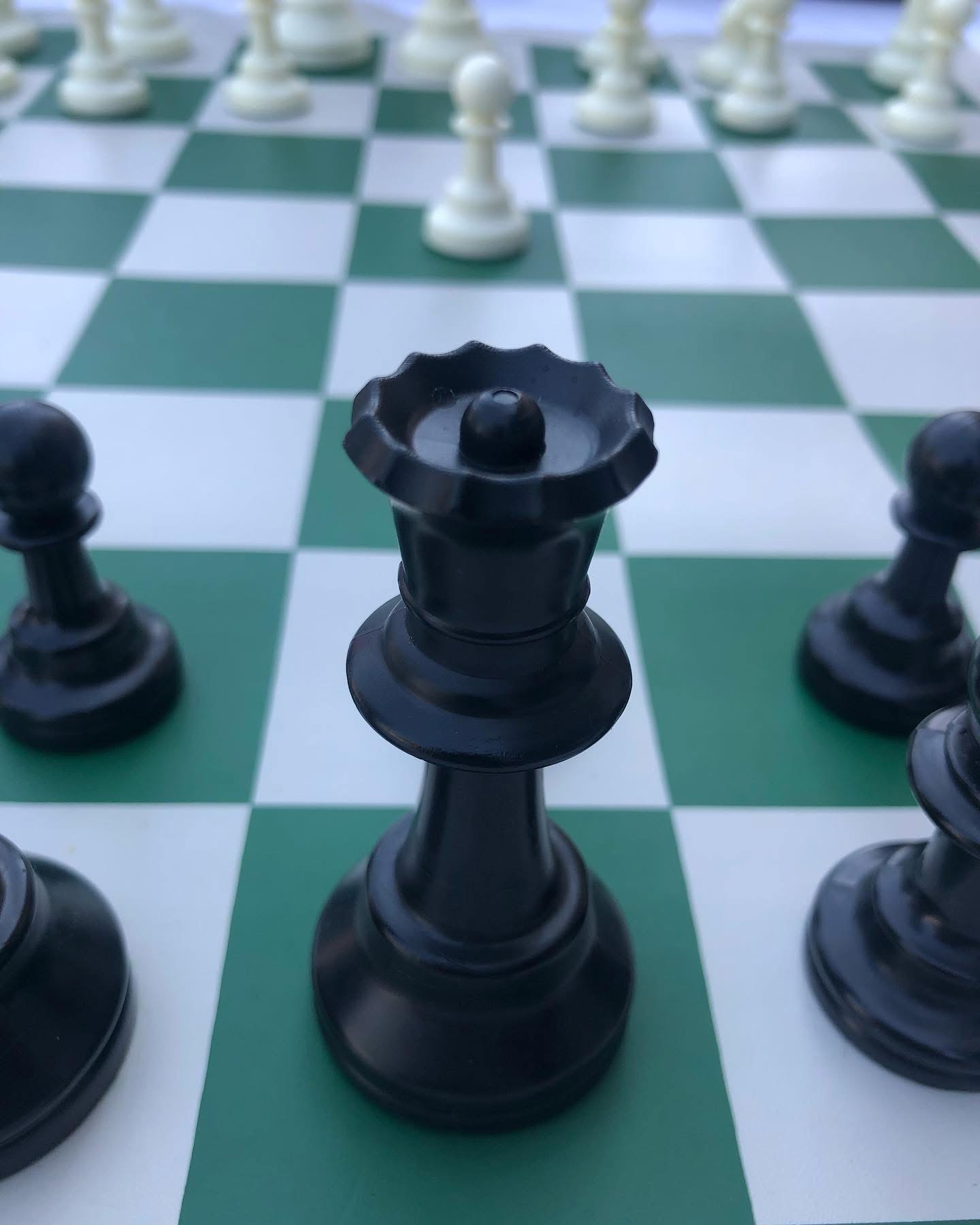 Black king chess piece on a green and white chessboard, with other pieces visible in the background.