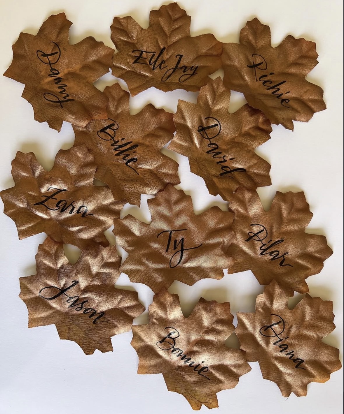 Brown autumn leaves with handwritten names on each leaf, arranged on a white background.