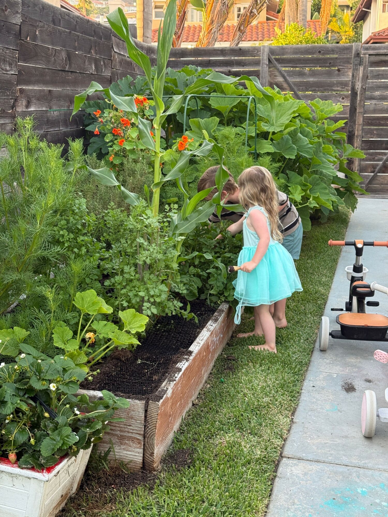 Child in a light blue dress watering plants in a garden with green foliage and flowers, outdoor setting.