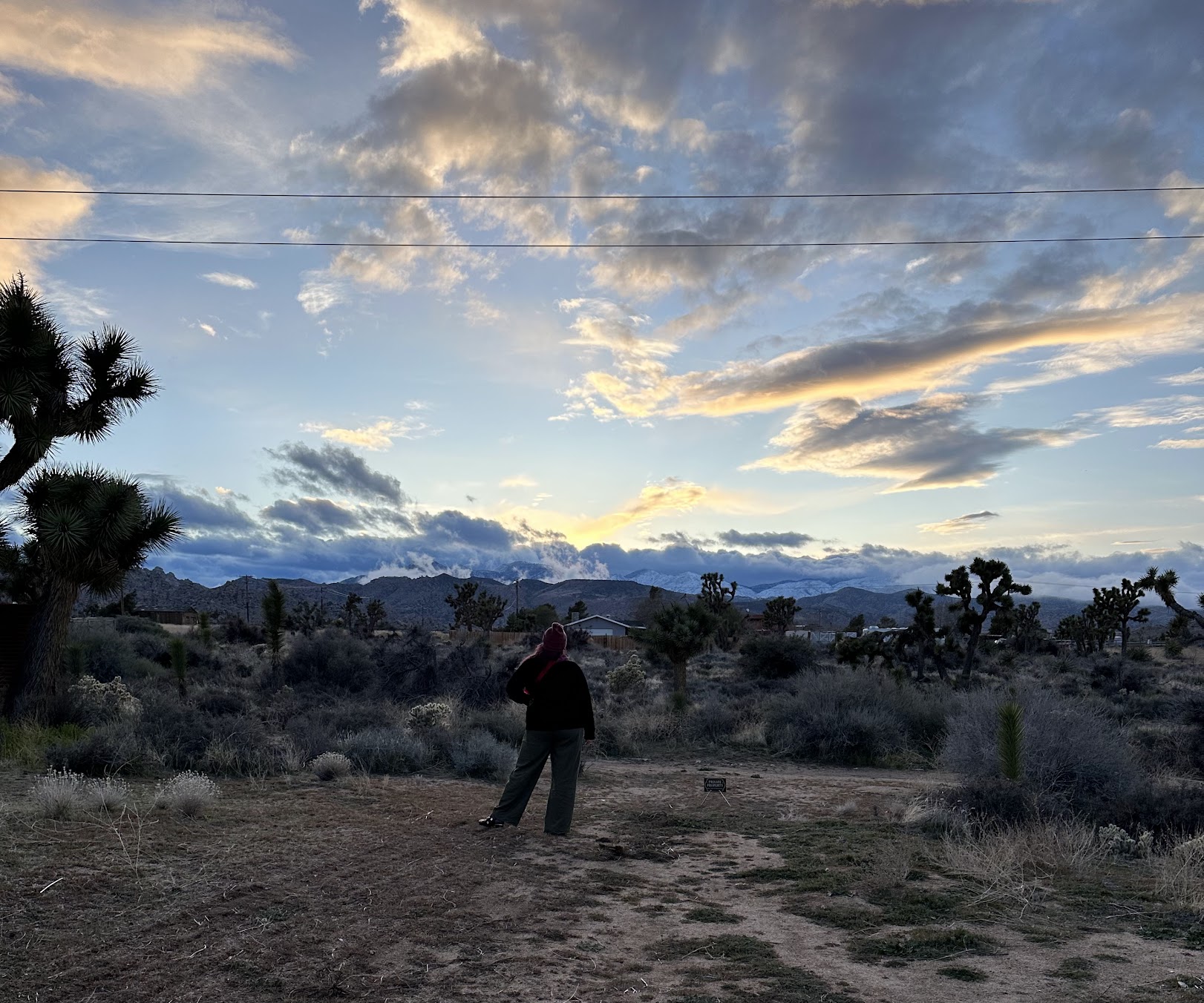 Person standing on dirt path in desert landscape with mountains and cloudy sky in background.