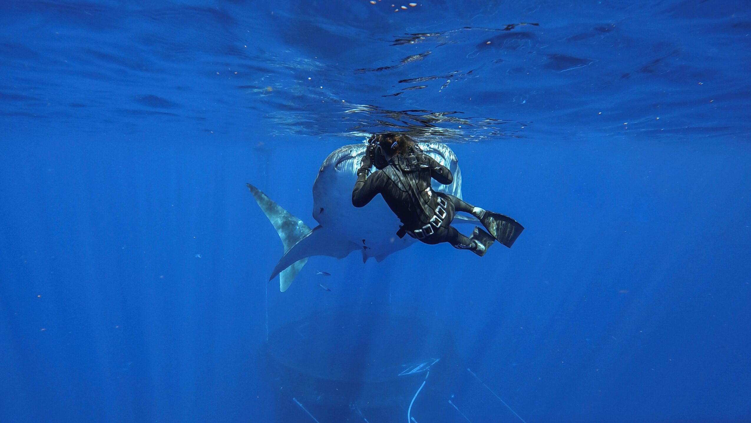 Person scuba diving underwater with a fish nearby, surrounded by blue water.