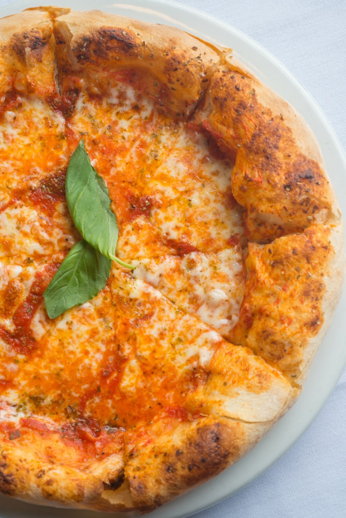 Close-up of a cheese pizza with basil leaves on top, showing a golden crust and melted cheese.