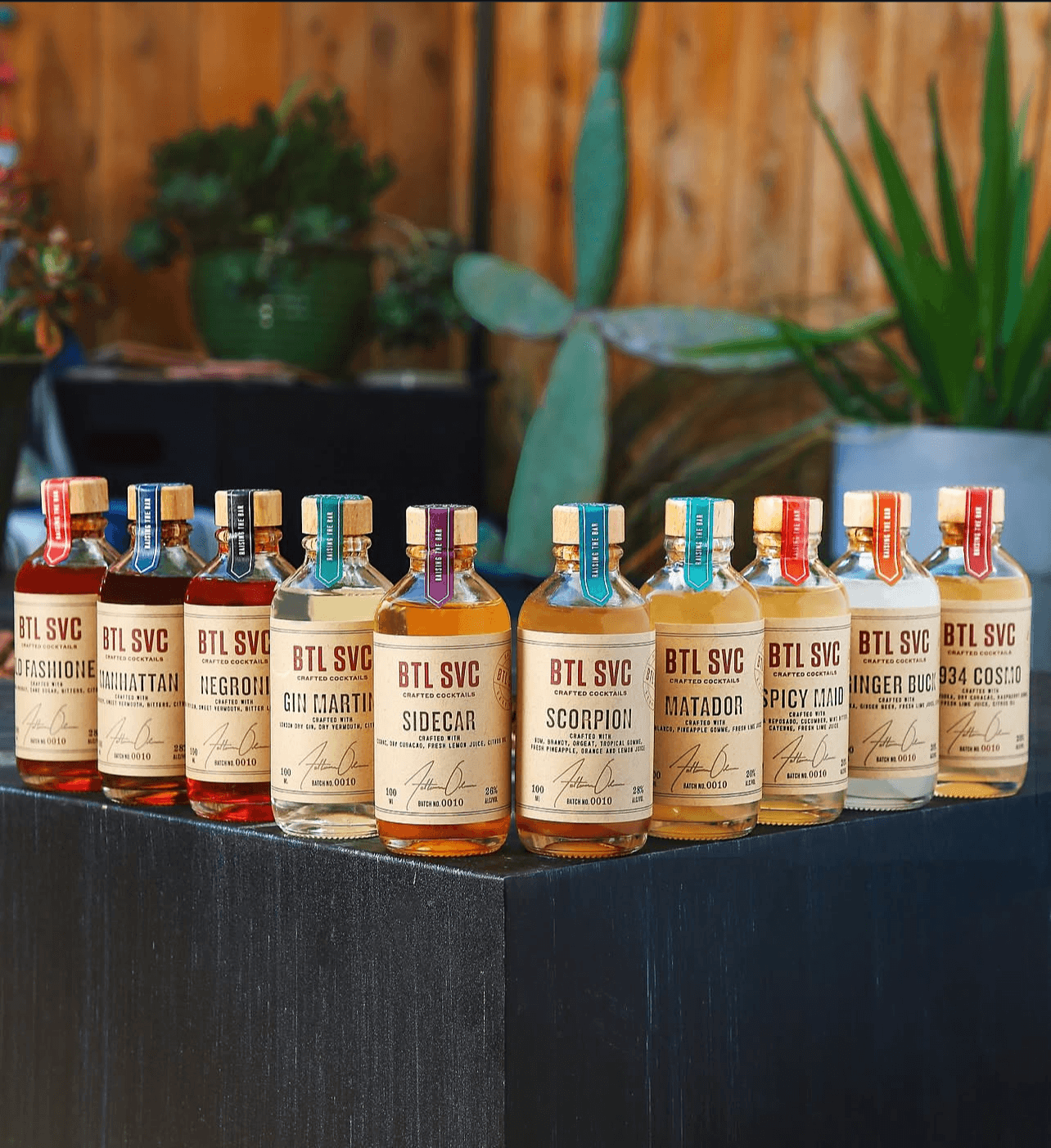 Row of small bottles with colorful labels on a dark surface, plants and wooden background behind them.