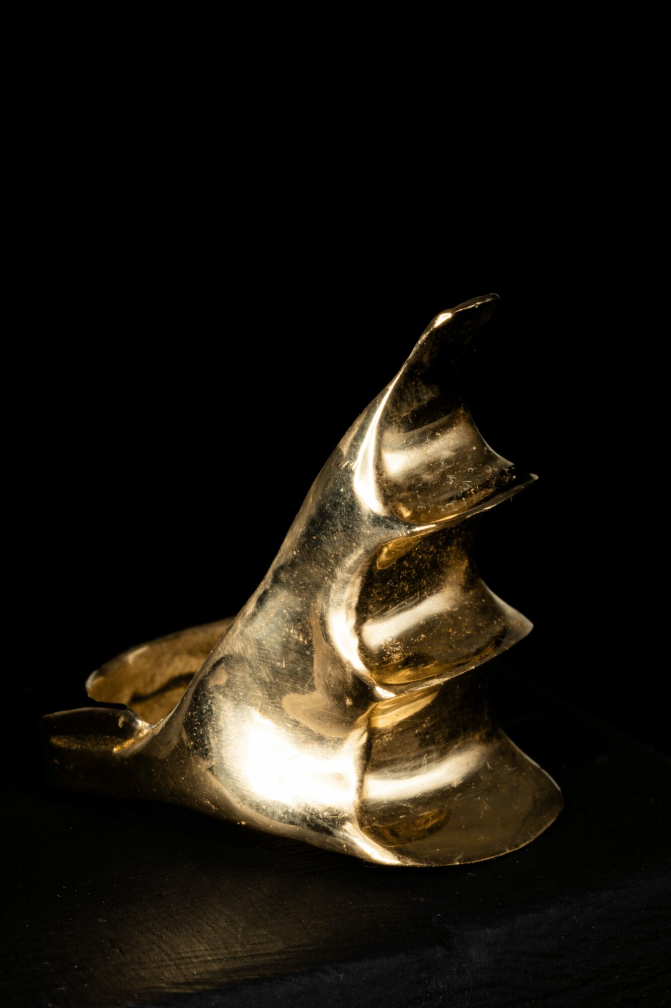 Golden sculpture resembling a hand with fingers curled, set against a black background.