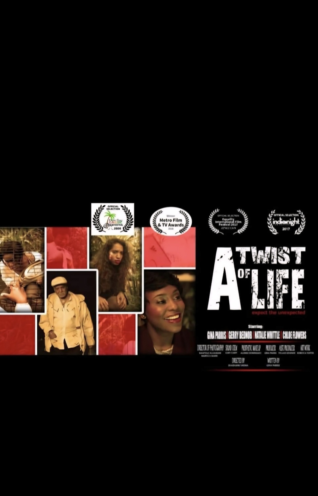 Movie poster titled 'A Twist of Life' featuring diverse characters, awards, and film festival logos, with a black background.