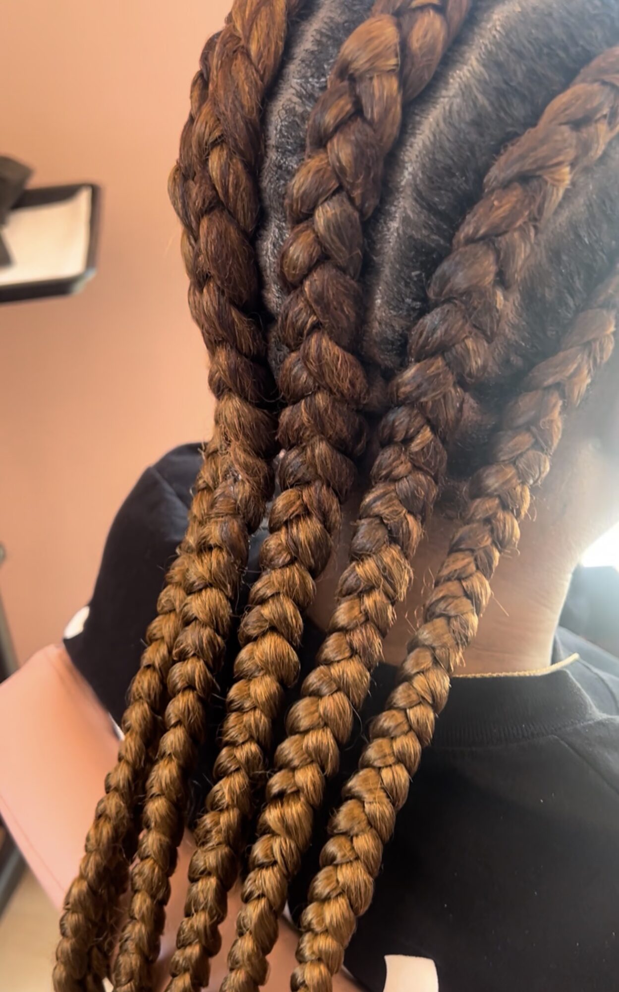 Close-up of person with long, thick, braided hair, showing multiple braids in shades of brown and blonde.