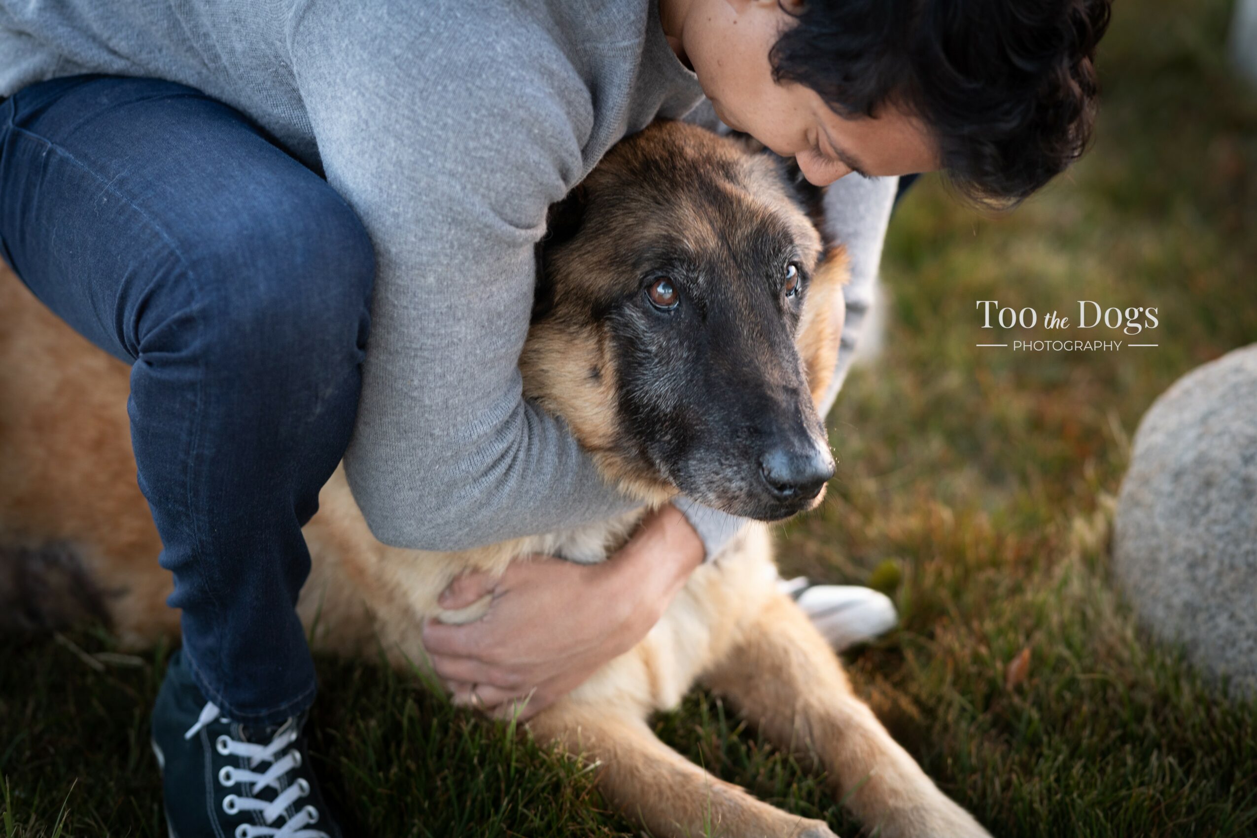 Person hugging a large dog outdoors on grass, with a stone nearby, during daytime.