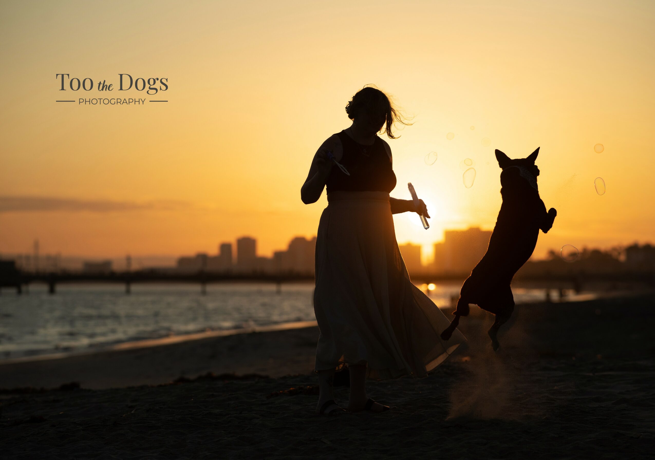 Silhouette of a woman and a dog playing on the beach at sunset, with city skyline in background.