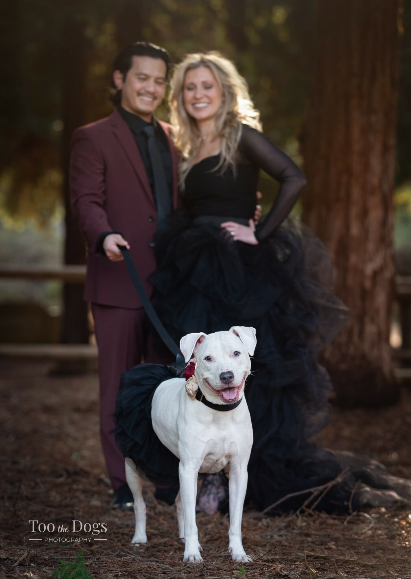A couple in formal attire standing outdoors with a white dog wearing a black coat, trees in the background.