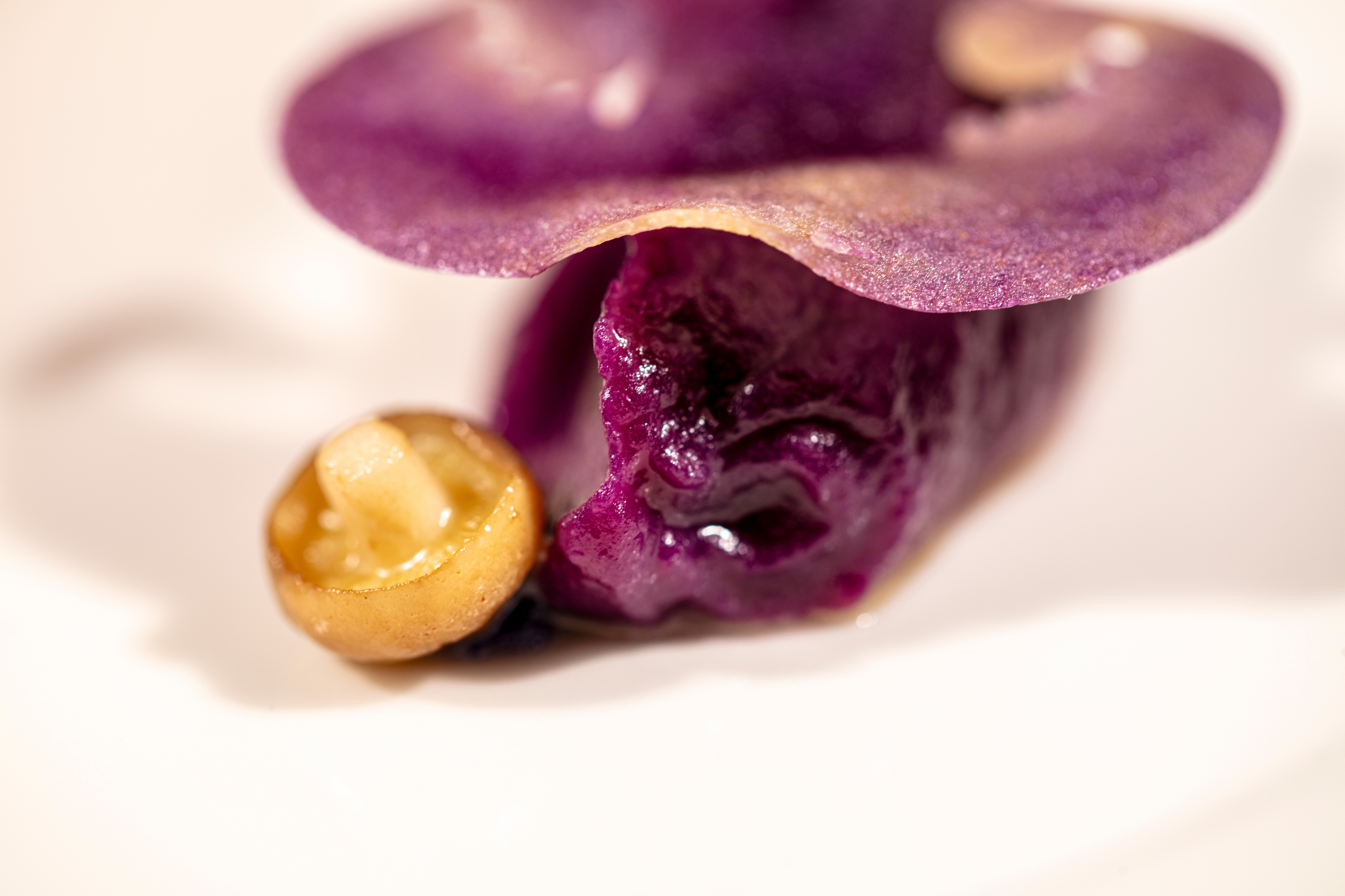 Close-up of purple and yellow food items on a white surface, with a focus on textures and colors.