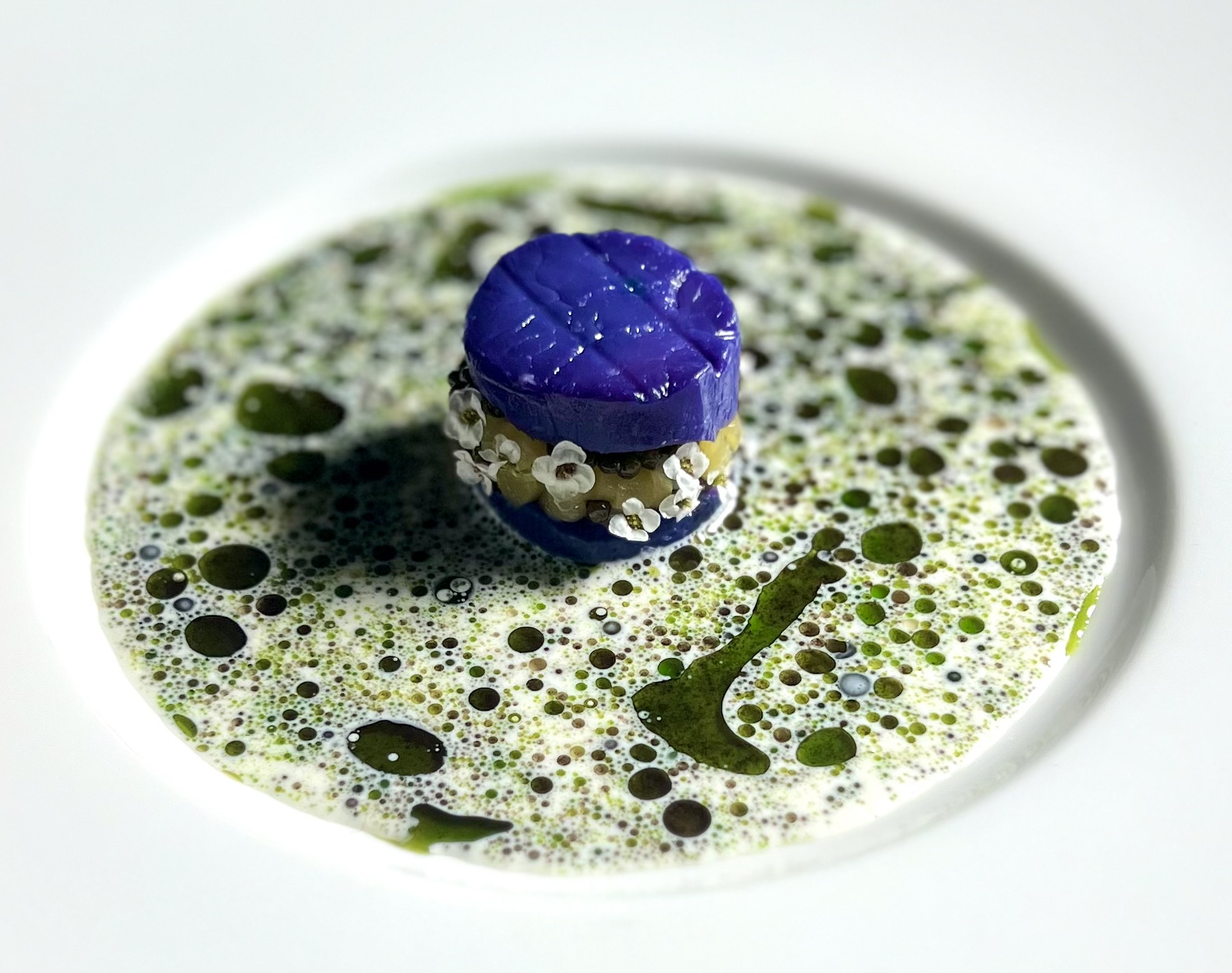A blue capsule partially submerged in a green liquid with bubbles, on a white plate.
