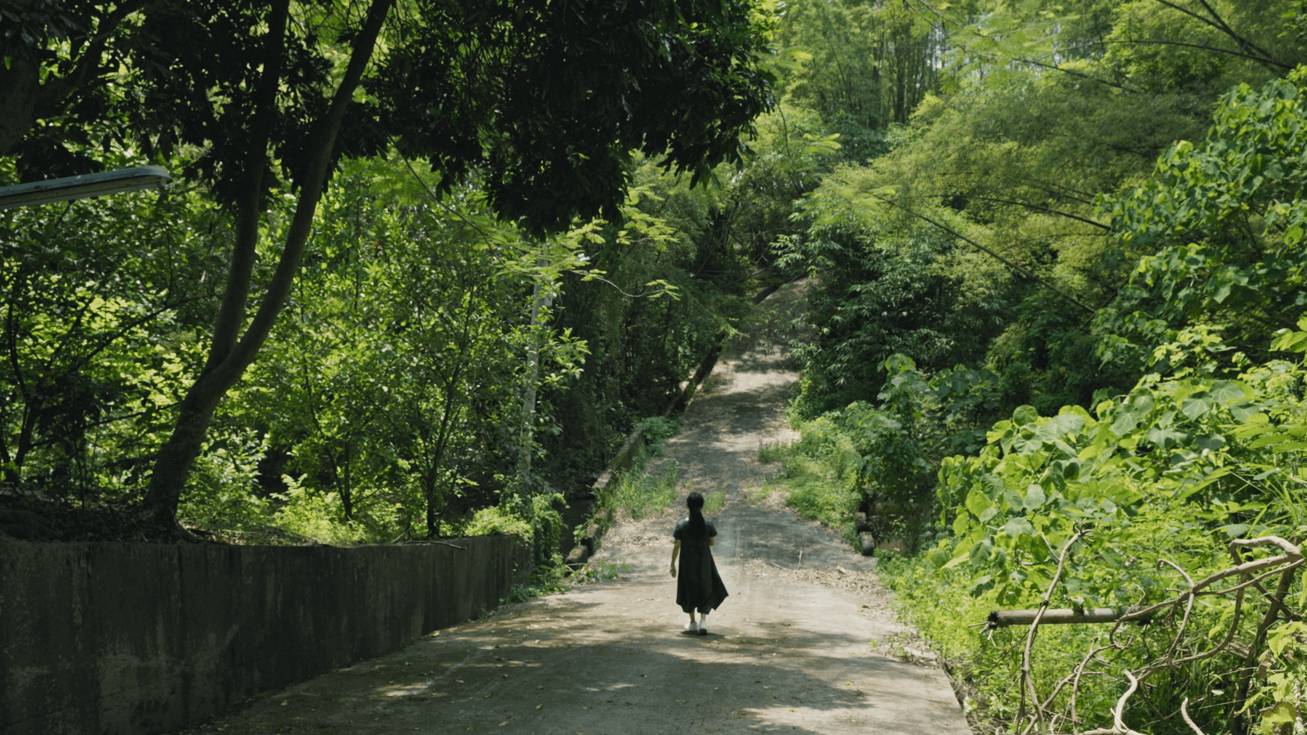 Person walking on a paved path surrounded by green trees and foliage, sunlight filtering through leaves.