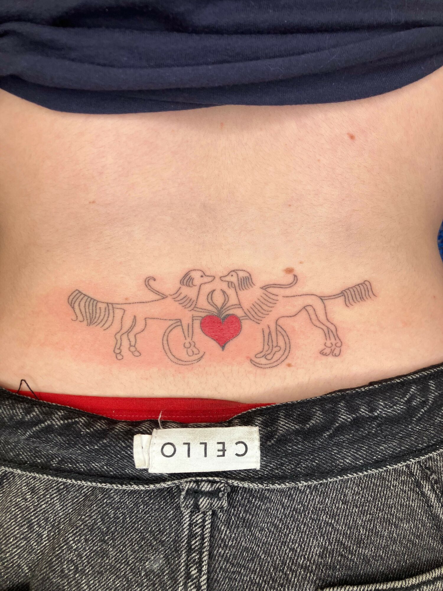 Tattoo of a zebra with a red heart on the side of a person's torso, partially covered by clothing.