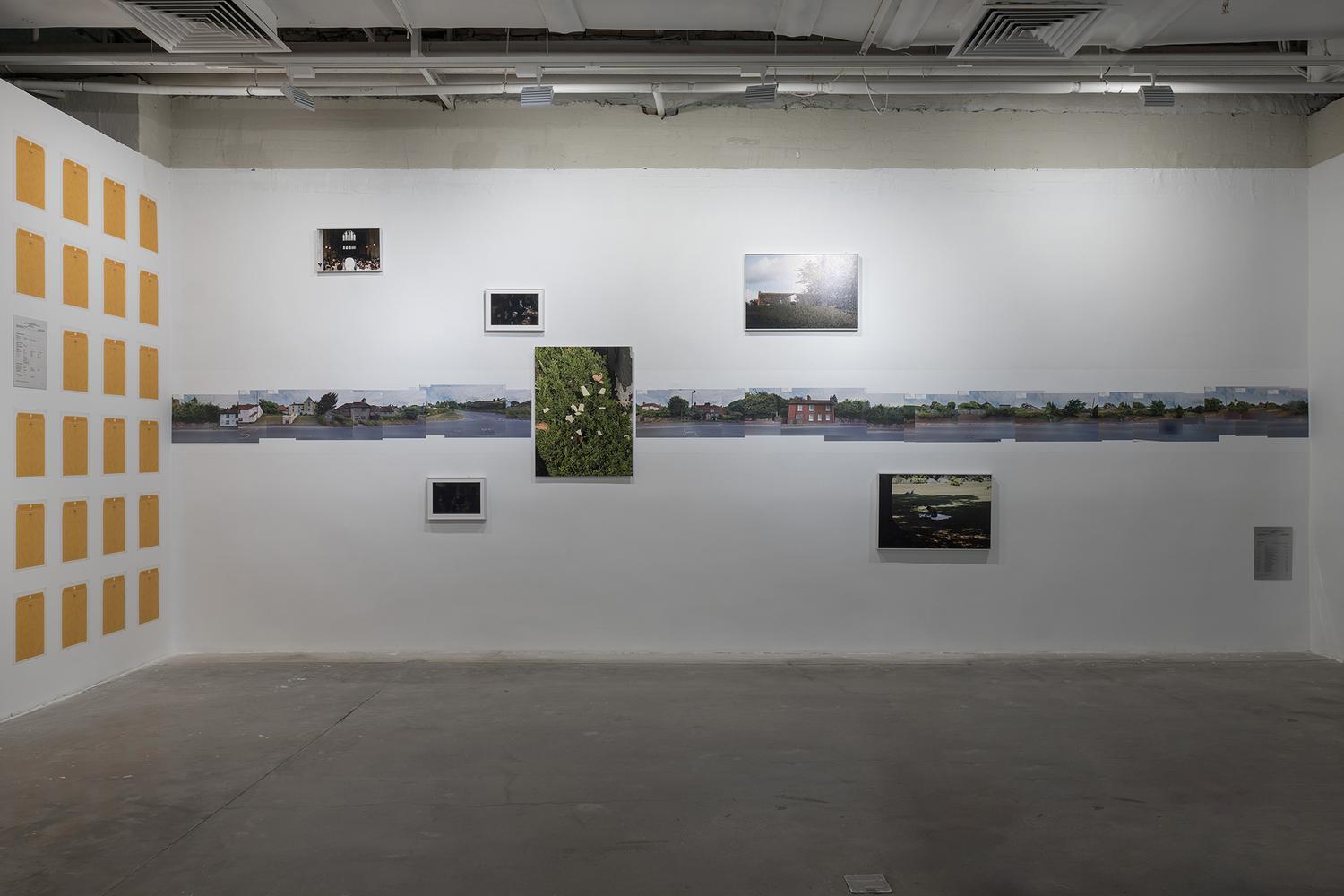 Gallery wall with landscape photographs and a green tree image, white wall, and a yellow pattern on the left corner.