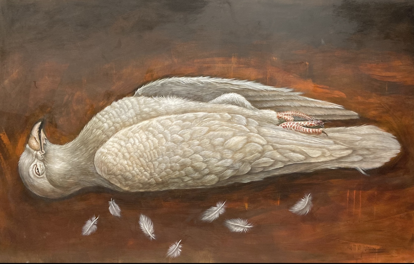 A bird lying on its side with feathers scattered around, against a dark background.