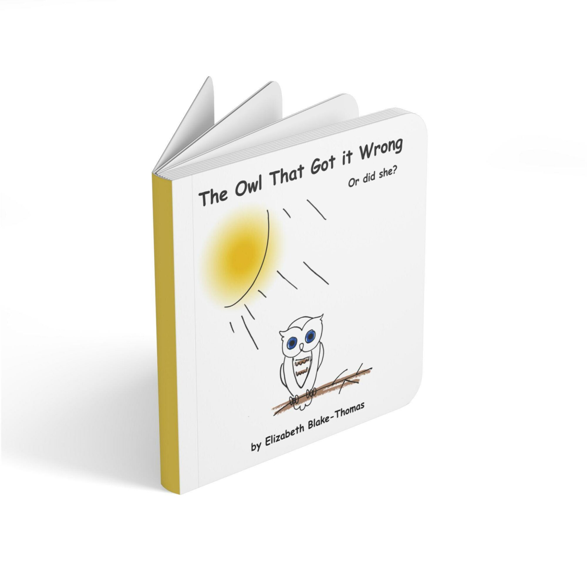 Children's book titled 'The Owl That Got it Wrong' with an owl illustration and a sun on the cover.