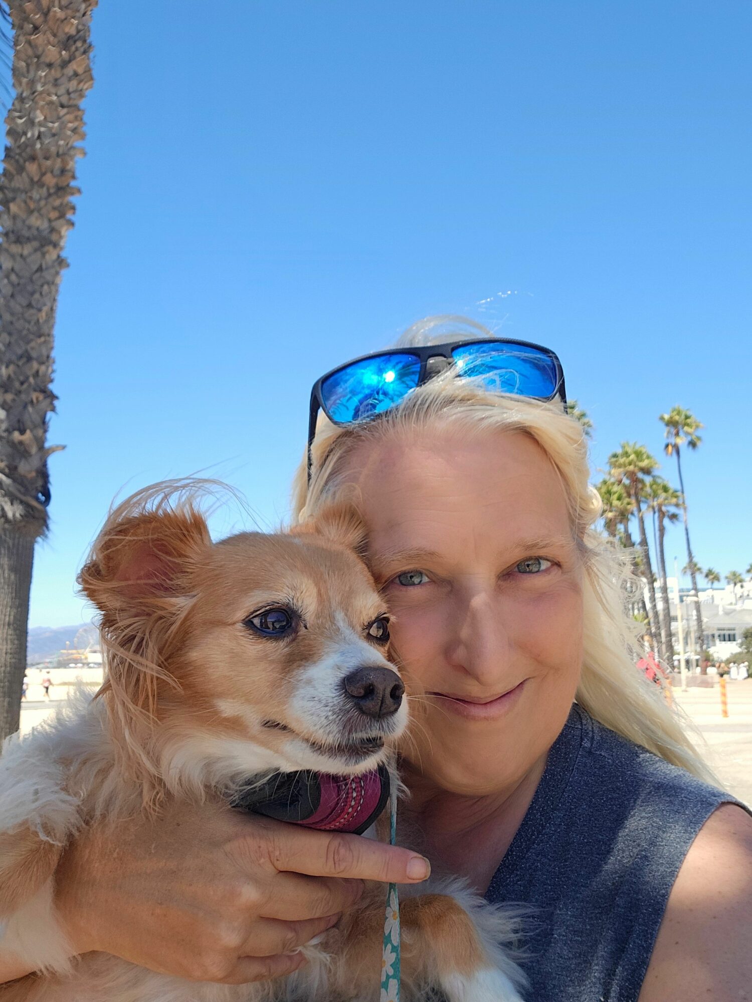 Person with blonde hair and sunglasses holding a small dog outdoors against a clear blue sky.