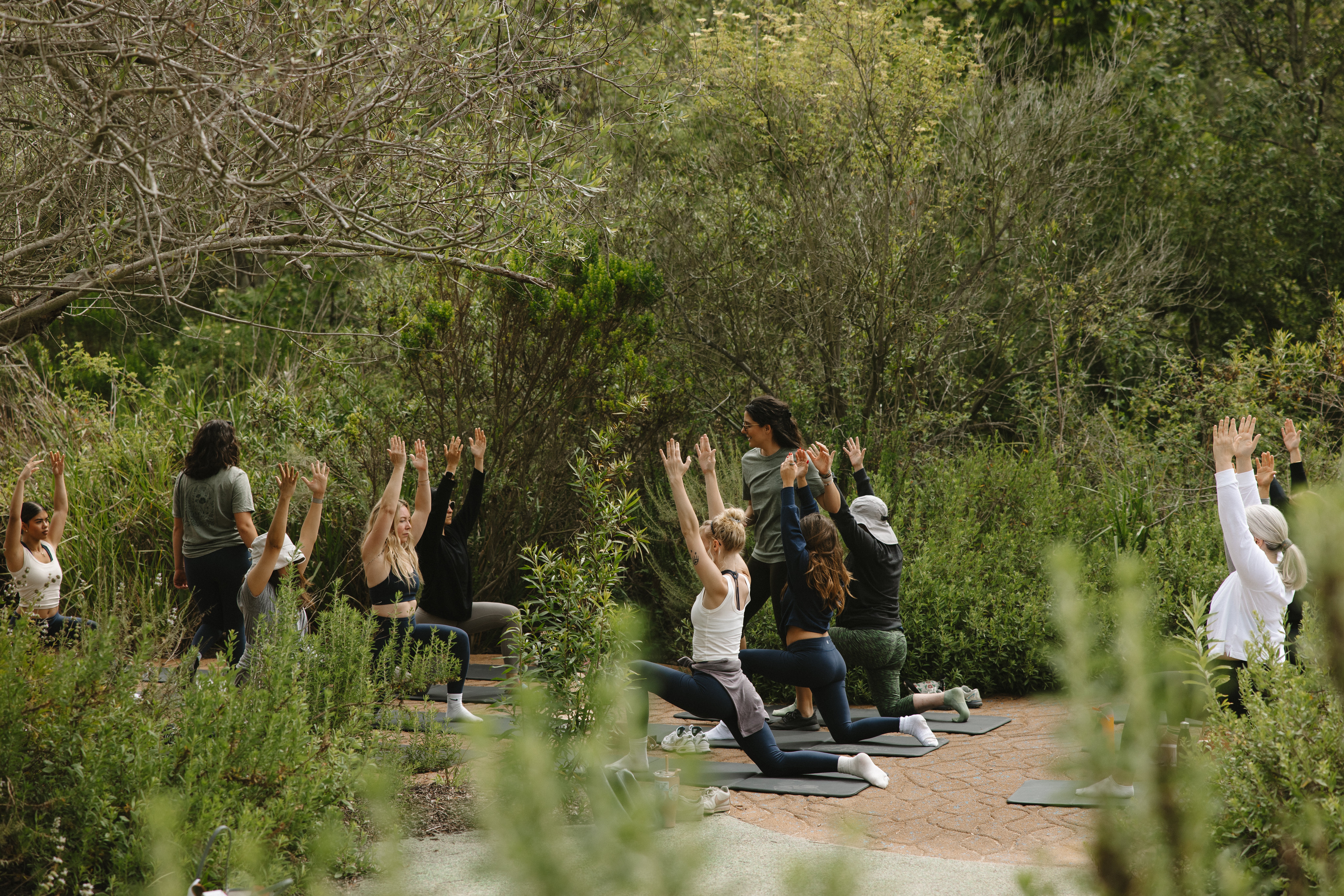 Group of people practicing yoga outdoors on mats surrounded by greenery and trees, some with arms raised.