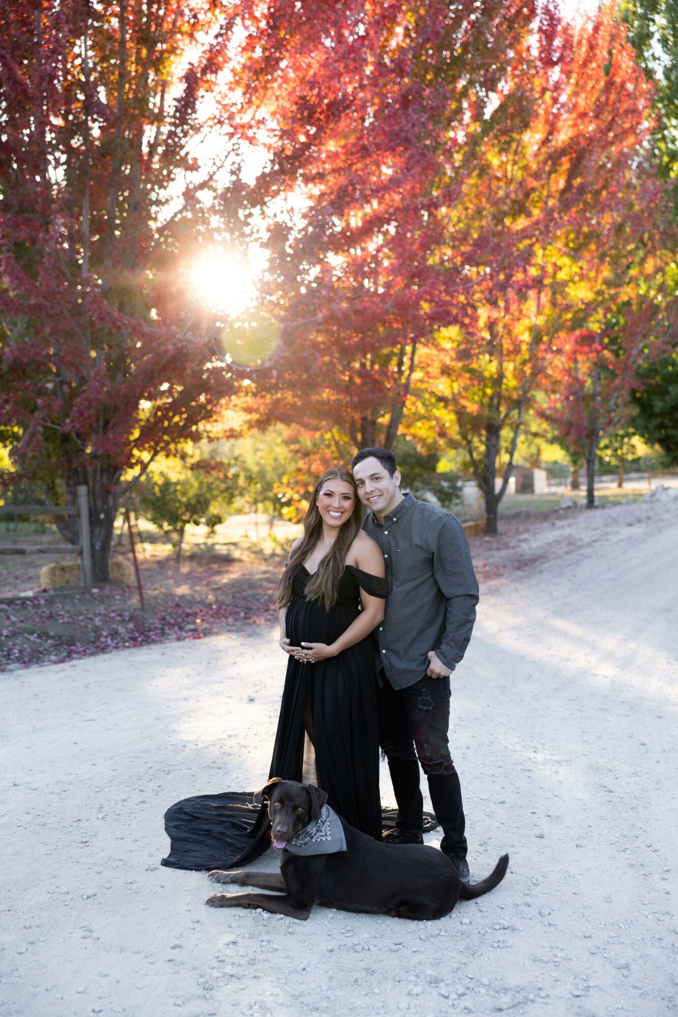 A couple and a dog stand on a gravel path with colorful autumn trees and sunlight in the background.