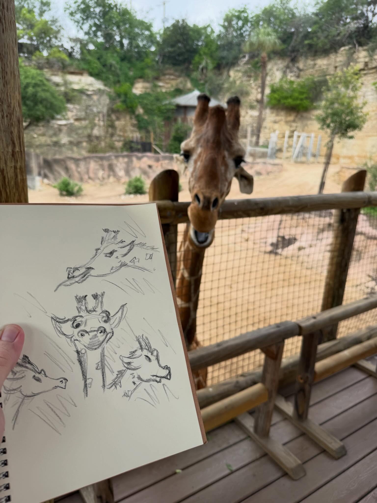 Giraffe peering over a wooden fence at a zoo, with a sketch of a cat and a bird in the foreground.