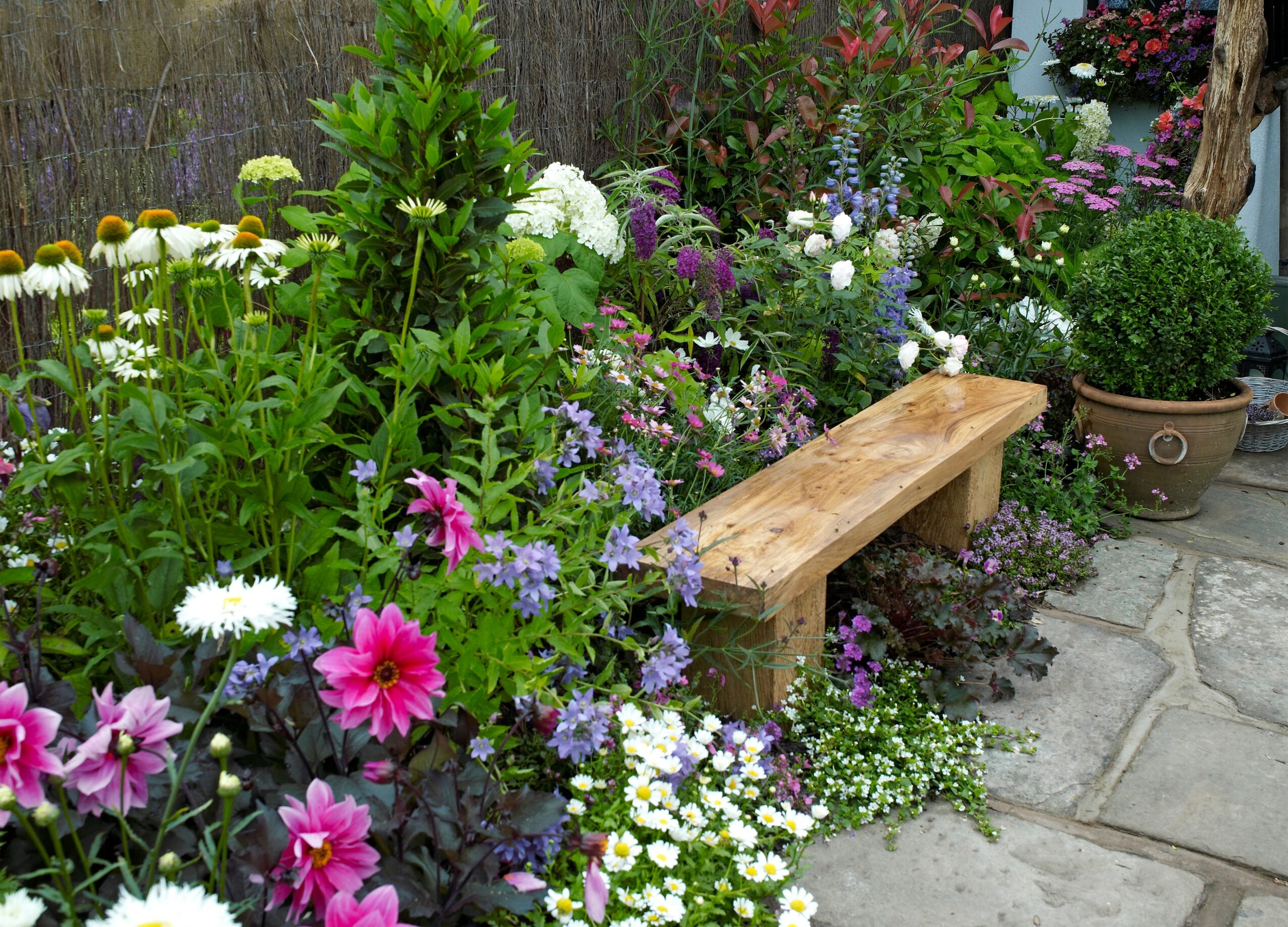 Wooden bench surrounded by colorful flowers and potted plants in a garden setting.