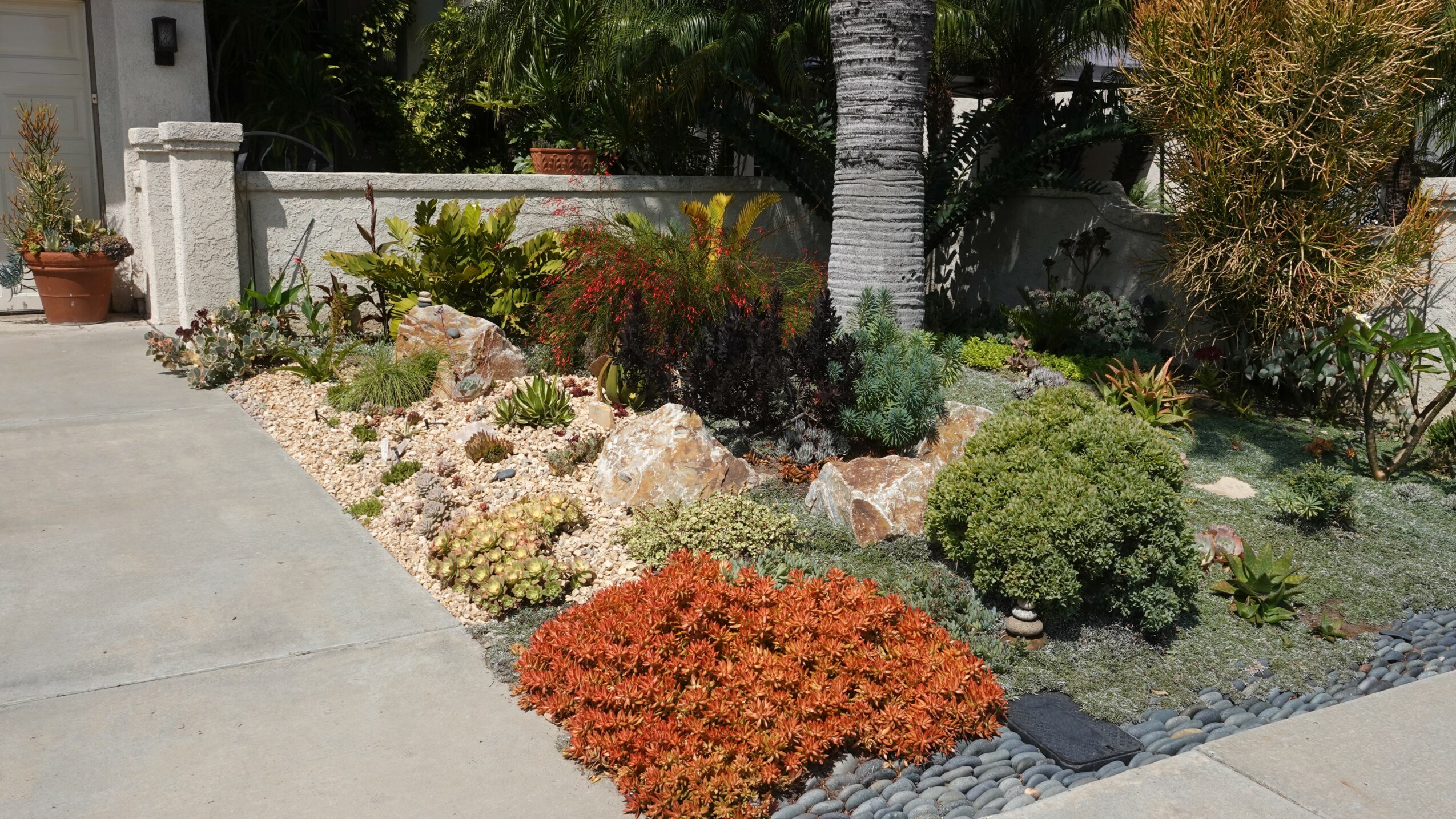 A garden with various plants, shrubs, and rocks next to a sidewalk, with a white wall and trees in the background.