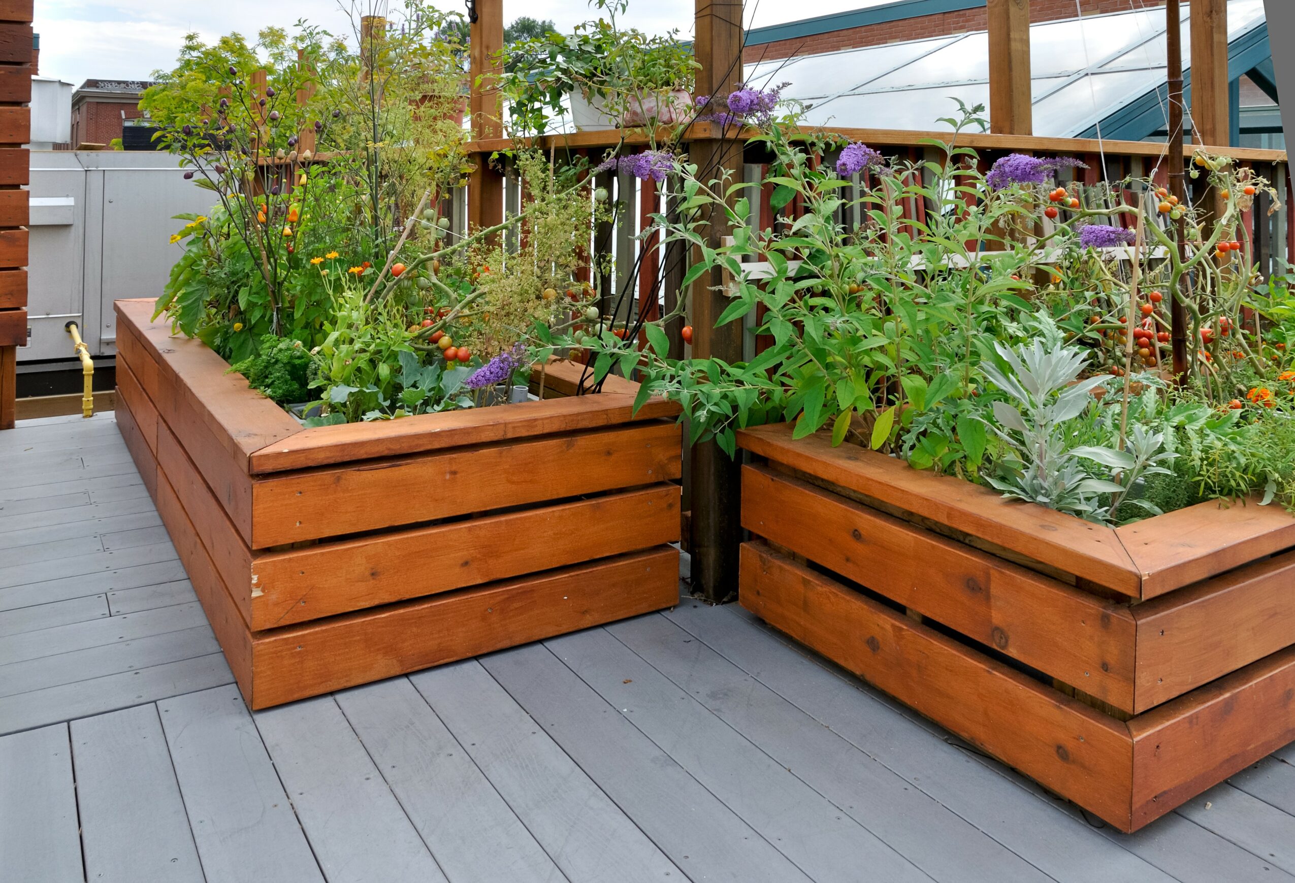 Two large wooden planters filled with various green plants and flowers on a gray deck, with a railing and trees in the background.