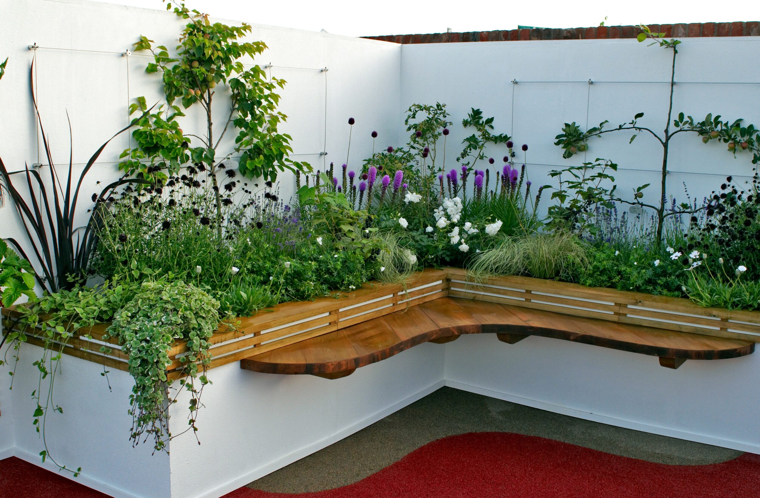 Corner garden with various plants and a wooden bench against a white wall, with a red mat on the ground.