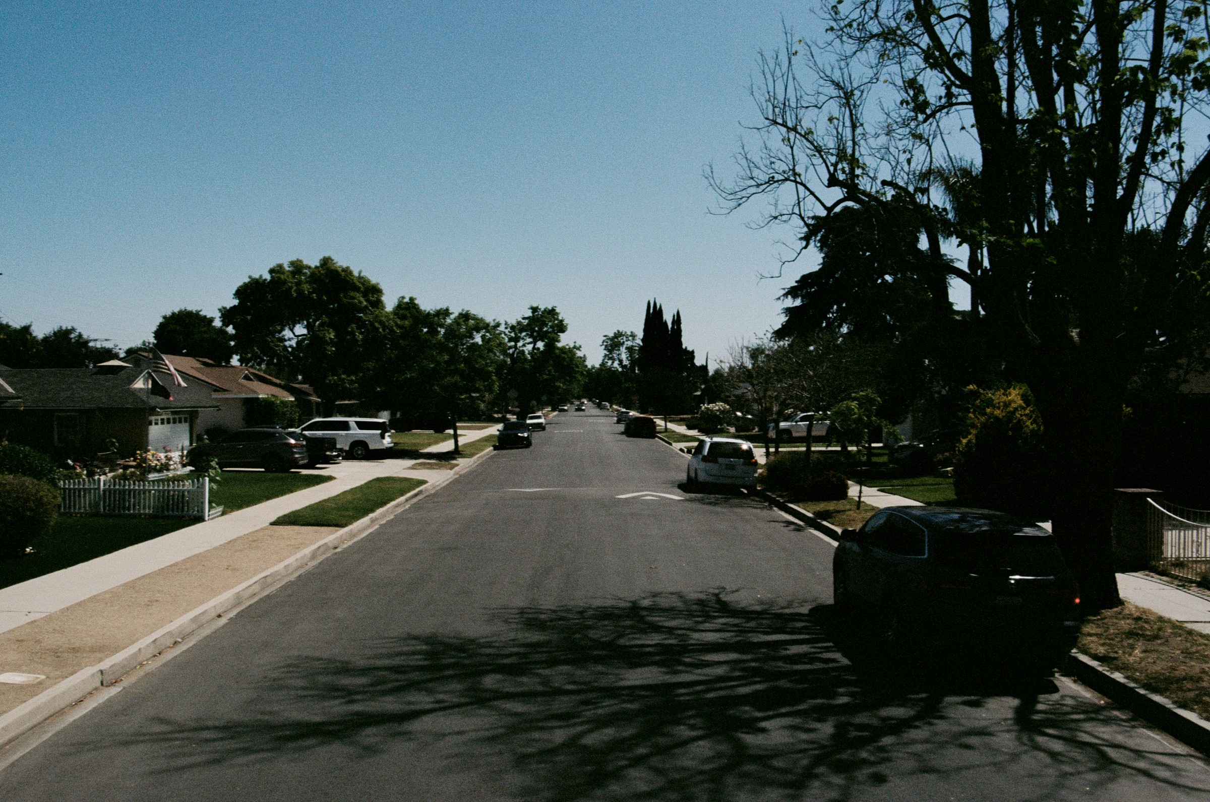 Residential street with parked cars, trees, and houses under a clear sky.