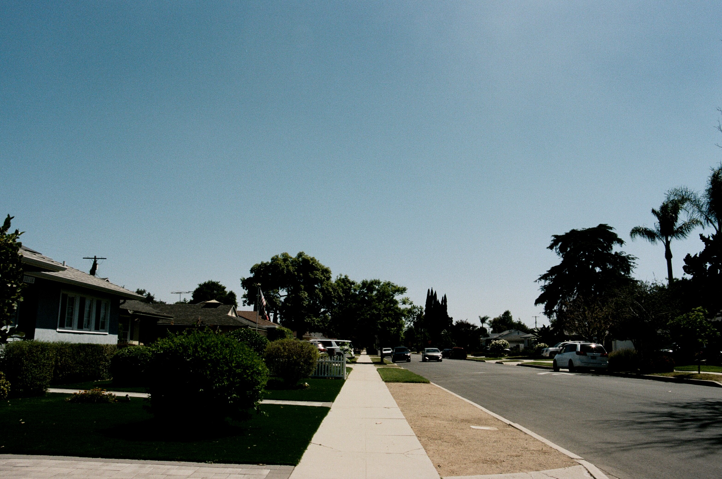 Street view with sidewalk, trees, houses, and parked cars under a clear sky.