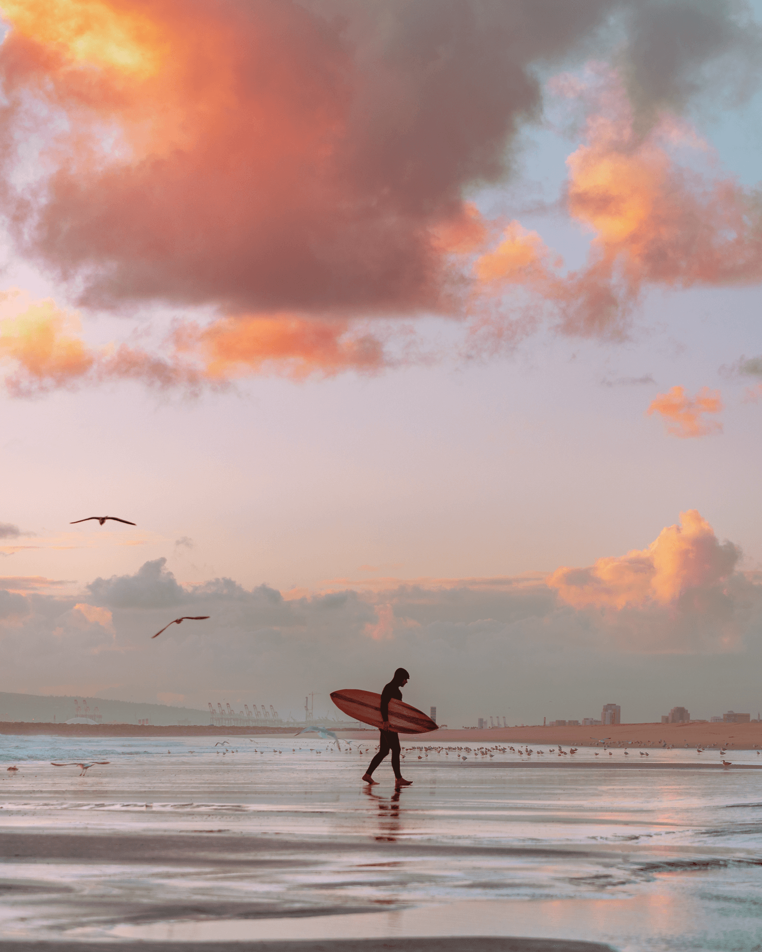 Person walking on wet beach holding a surfboard during sunset with clouds and seagulls in sky