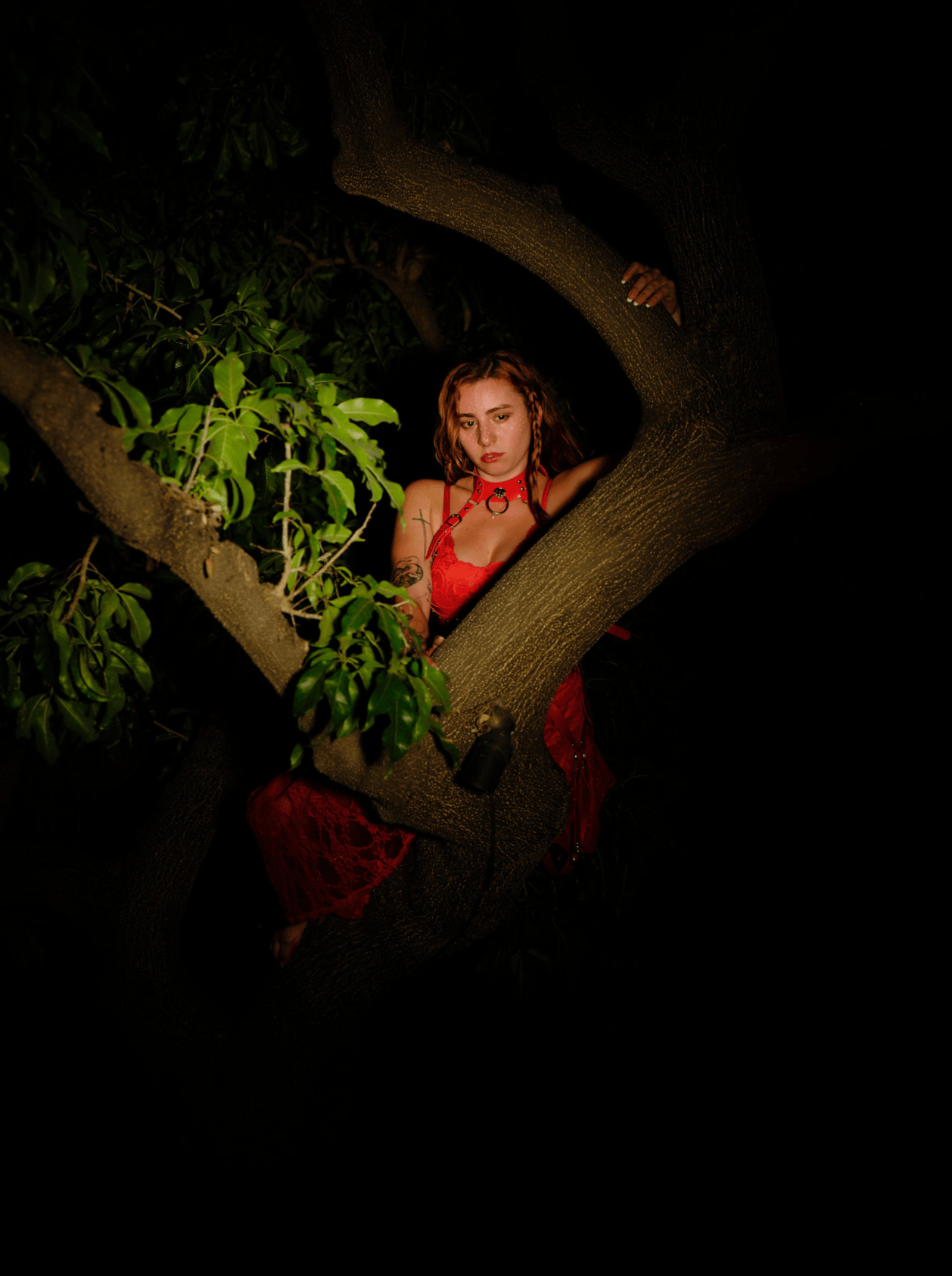 Young woman in red dress sitting on a tree branch at night, surrounded by leaves, with dark background.