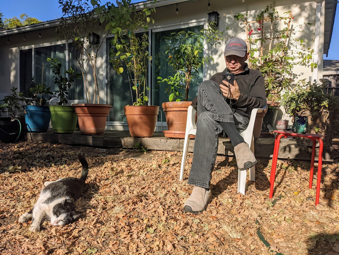 Person sitting on a white chair outdoors, with a cat nearby on the ground, in front of a building with potted plants.