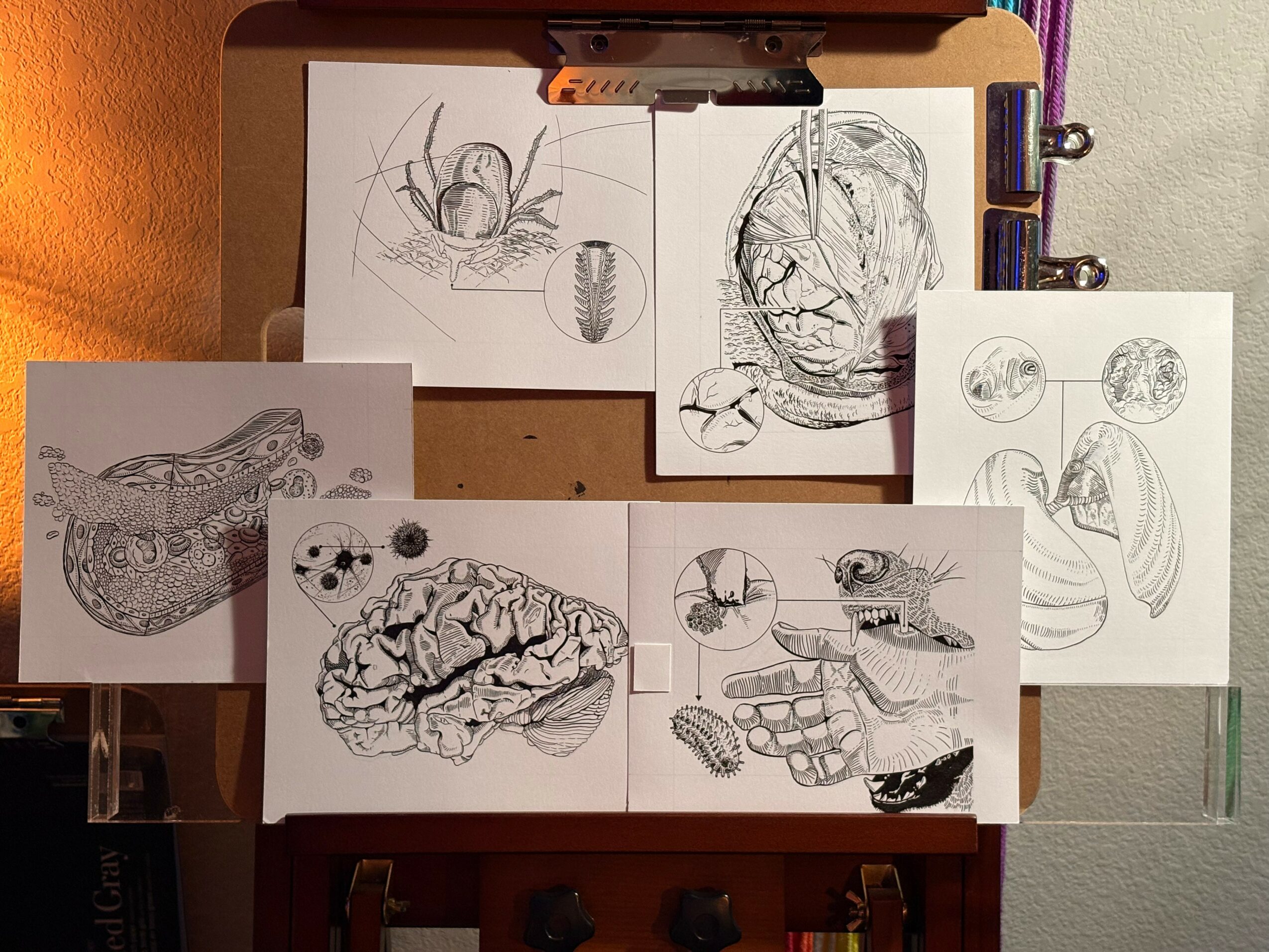 Collection of sketches and drawings of animals and objects on a clipboard and paper, with some colored pencils nearby.