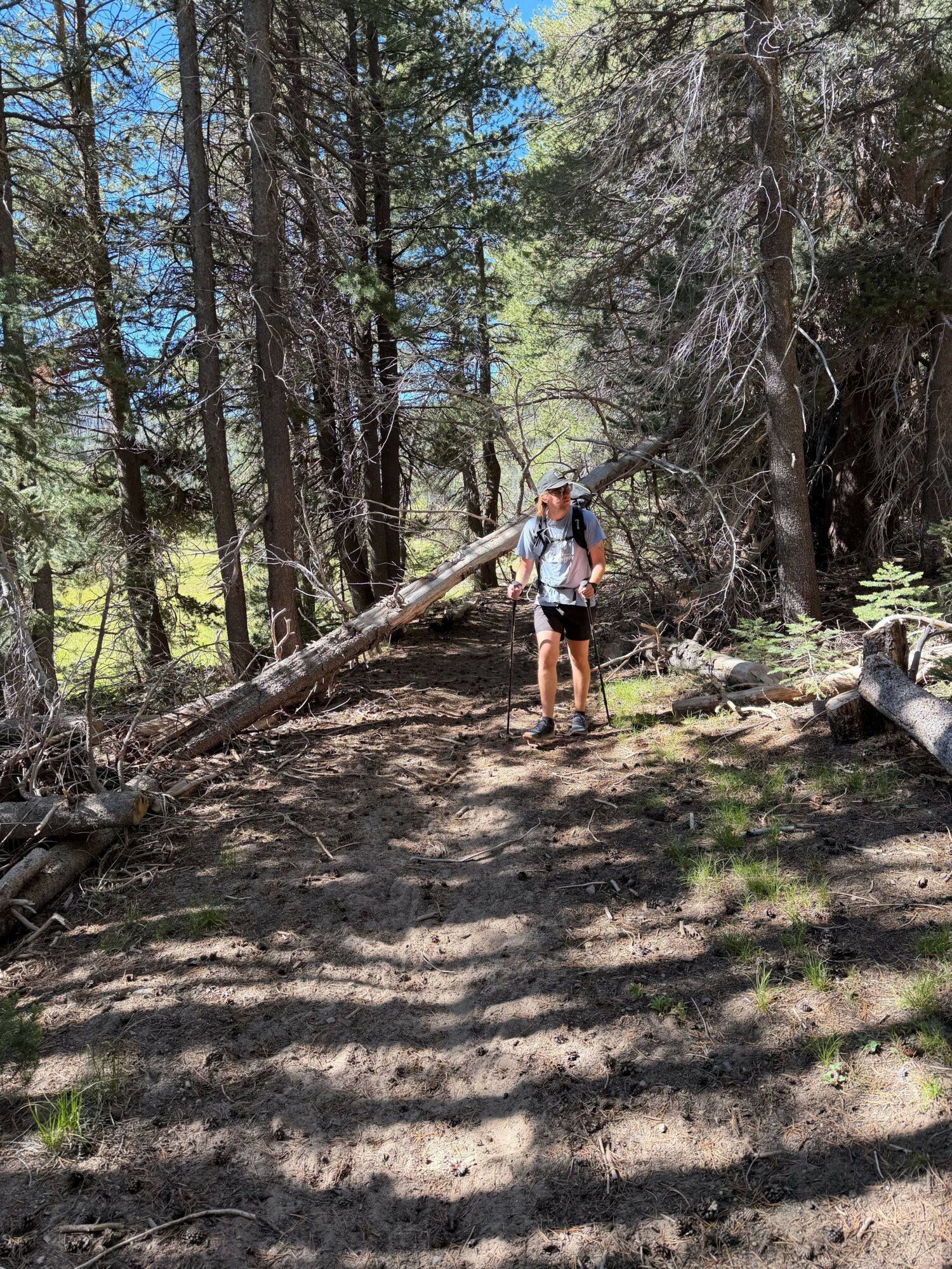Person standing on a dirt path in a wooded area with trees and sunlight, carrying a backpack.