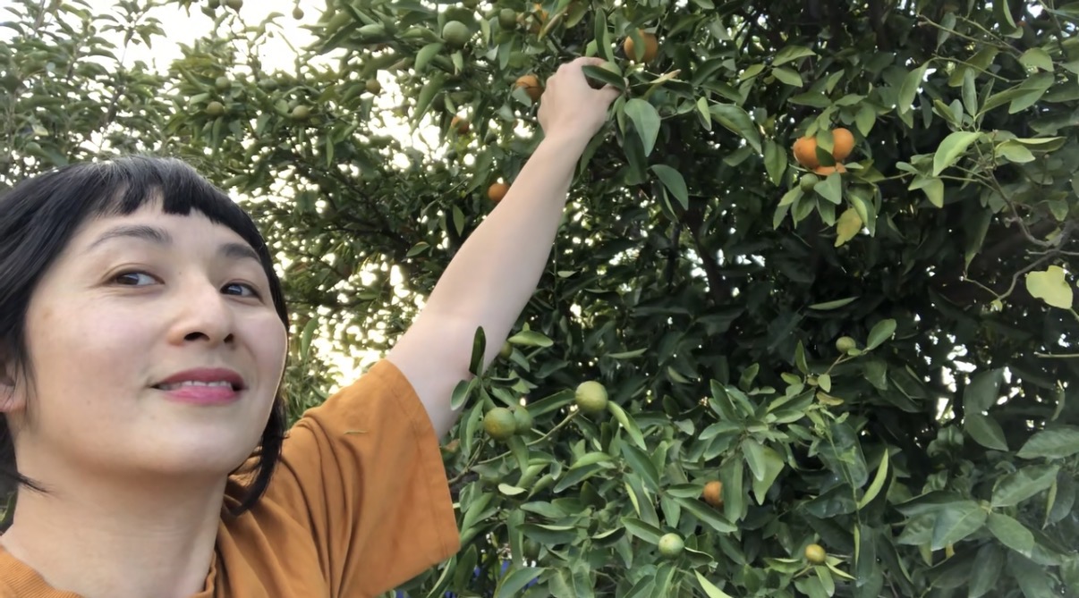 Person reaching for fruit on a tree with green leaves and small orange and green fruits, smiling, outdoors.