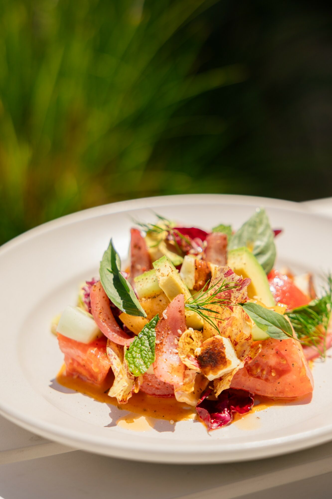 Salad with watermelon, avocado, herbs, and crumbled cheese on a white plate, outdoors with greenery in background.