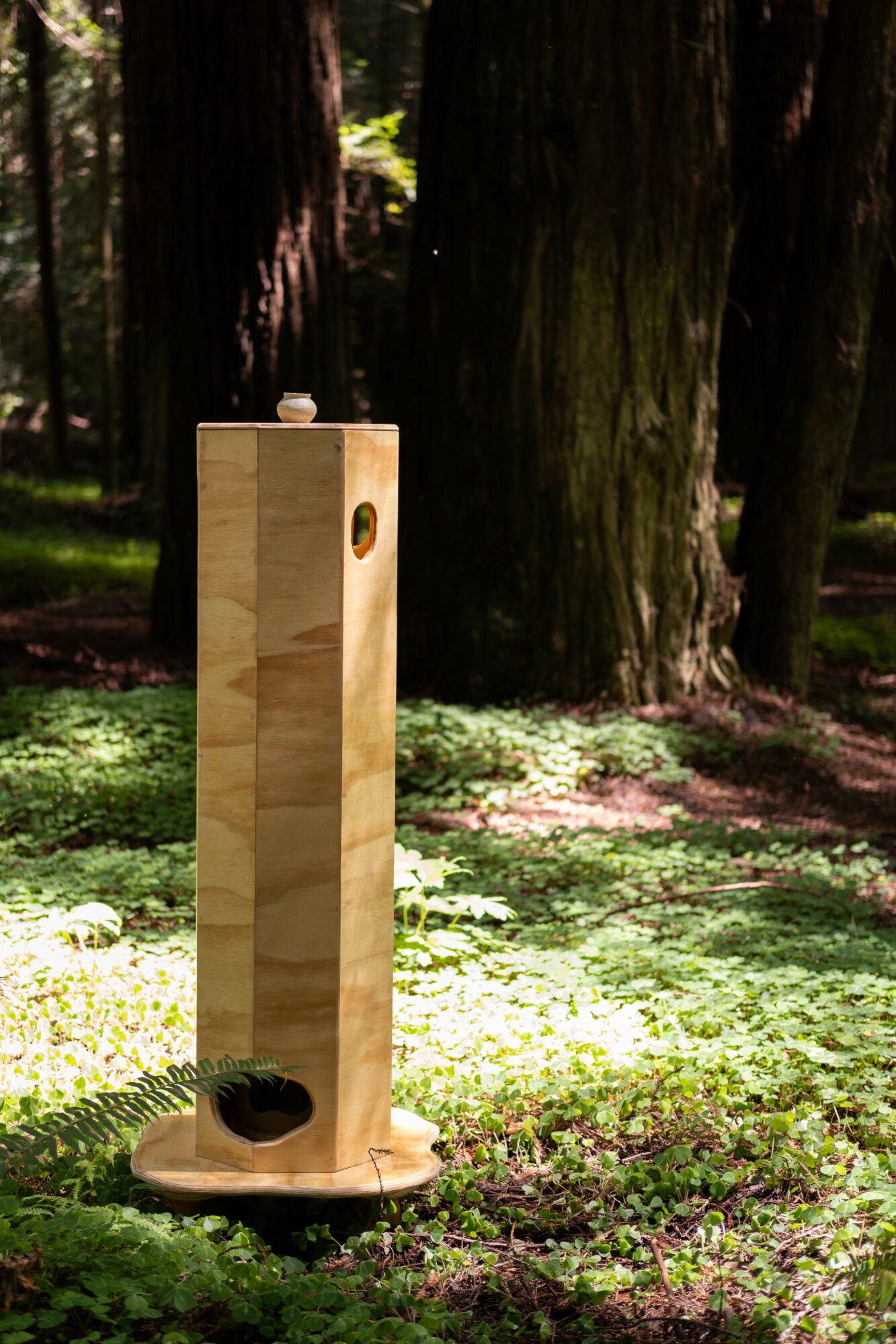 Tall wooden birdhouse with a small entrance hole, placed outdoors among trees and greenery.