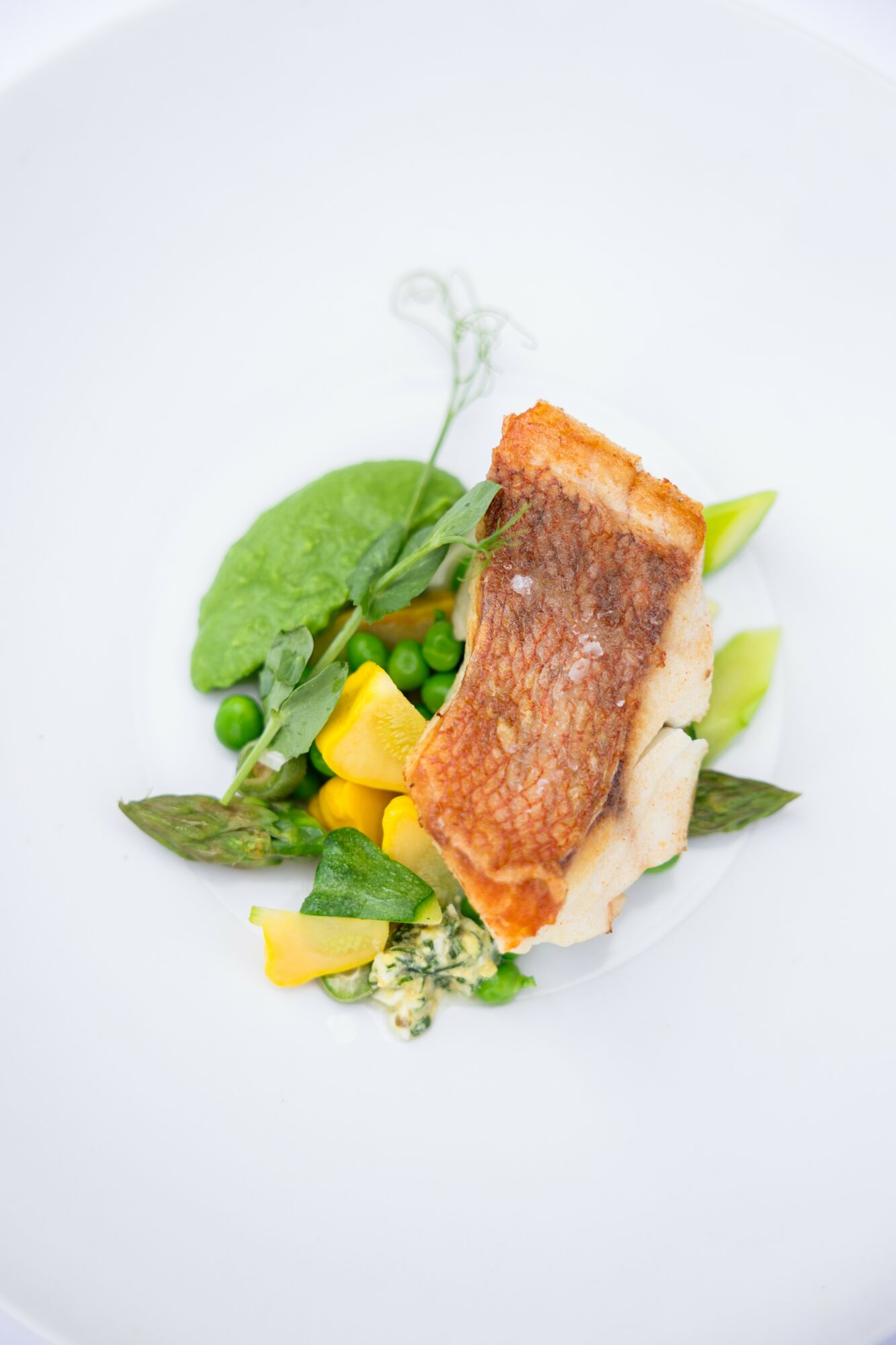 A plated dish with a piece of cooked fish, green vegetables, and yellow garnishes on a white plate.