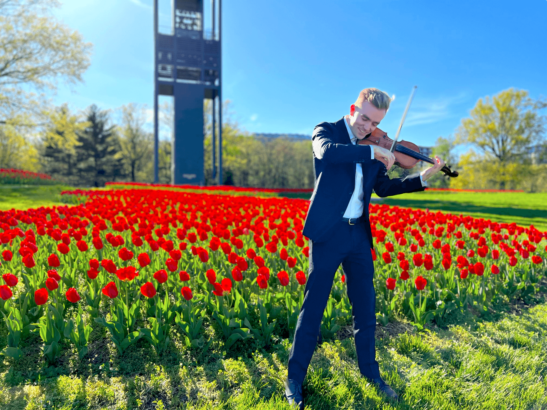 Person in a suit playing violin in a garden with red tulips and a blue sky.